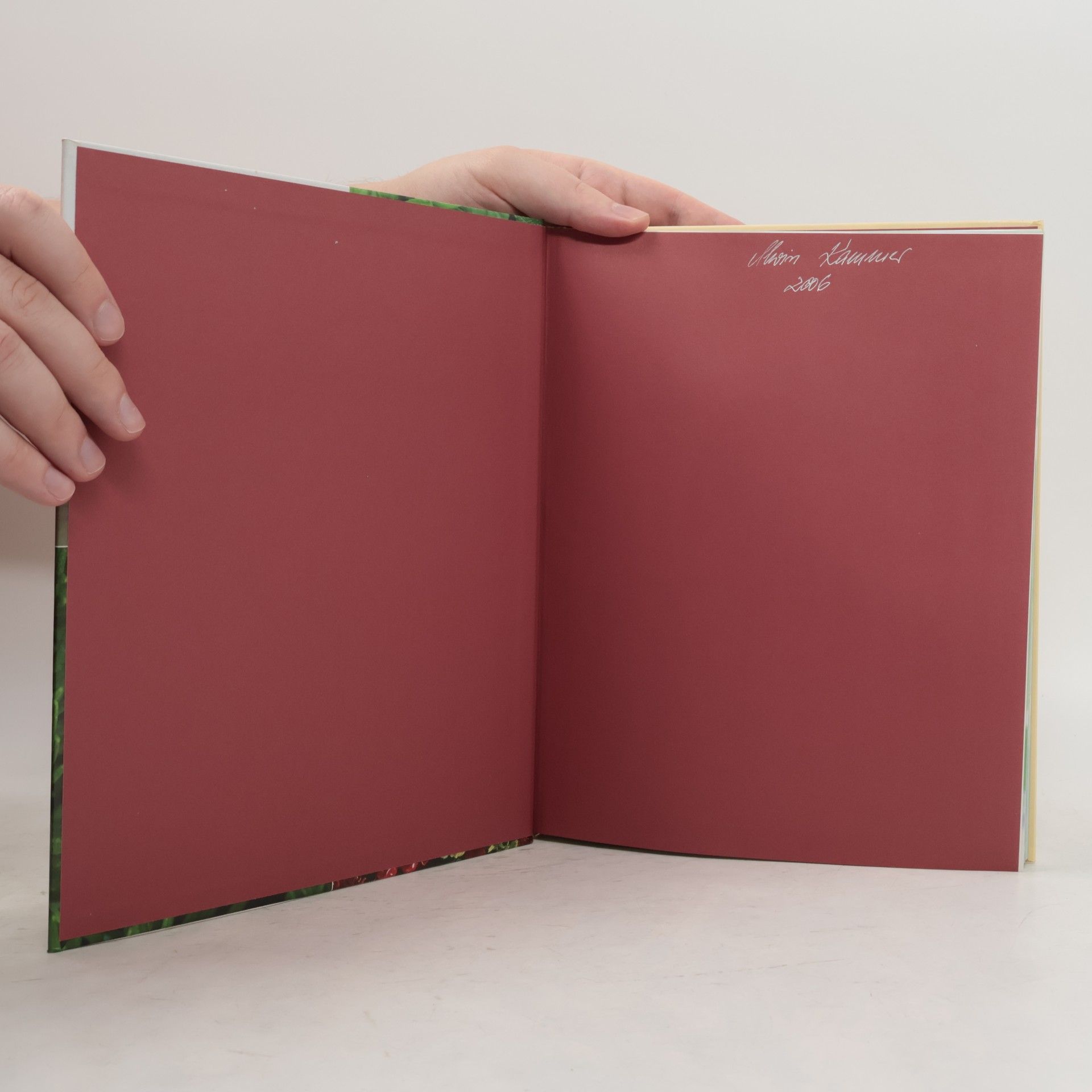 Birgit Busse Knaurs Kräuterbuch