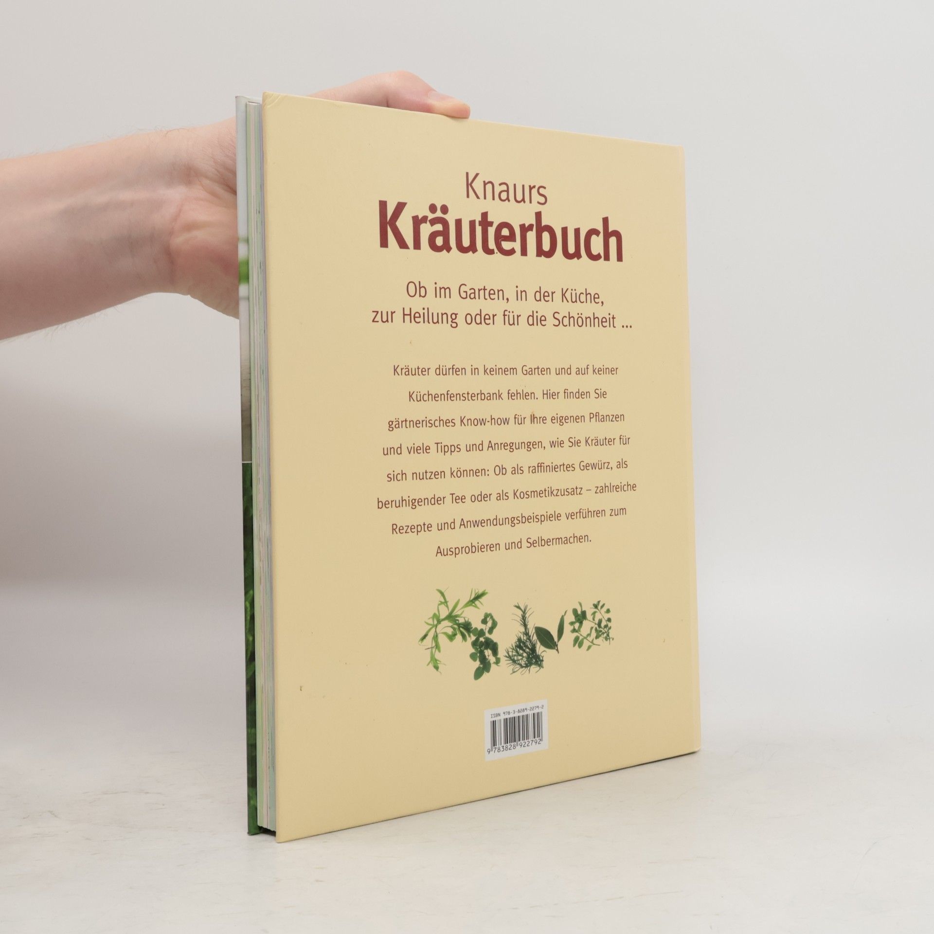 Birgit Busse Knaurs Kräuterbuch