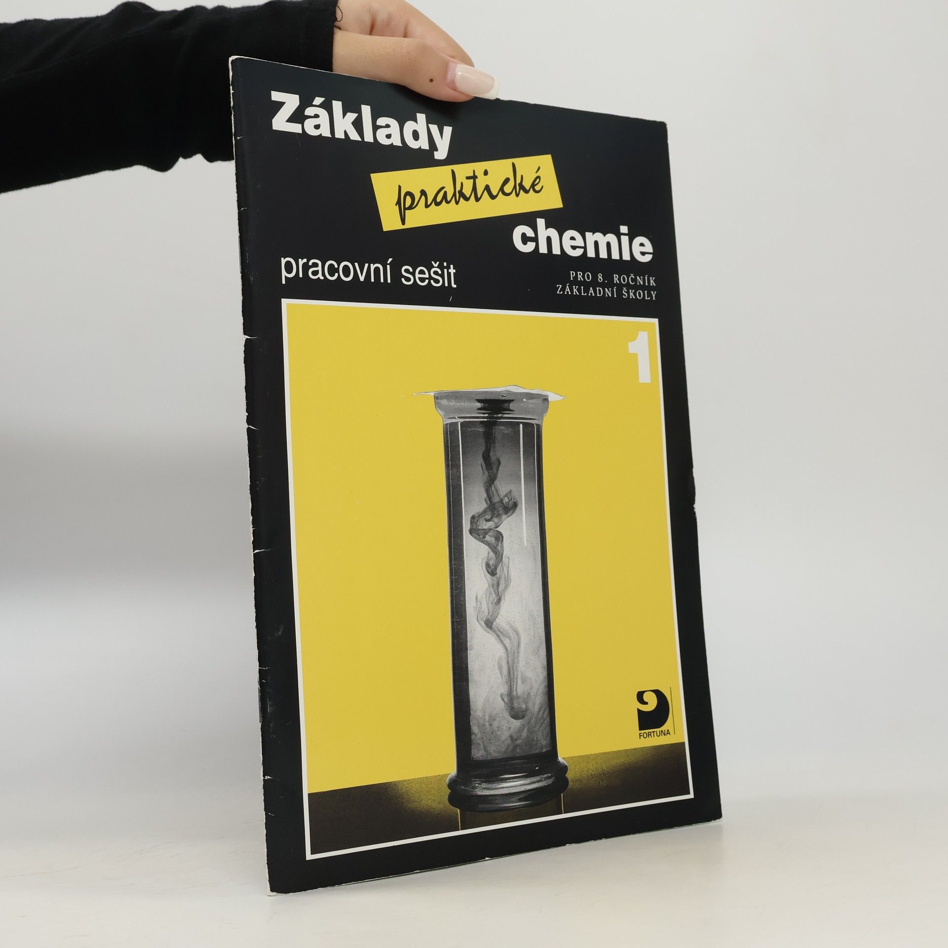 Ludvík Báča Základy praktické chemie 1 - Pracovní sešit pro 8. ročník základních škol