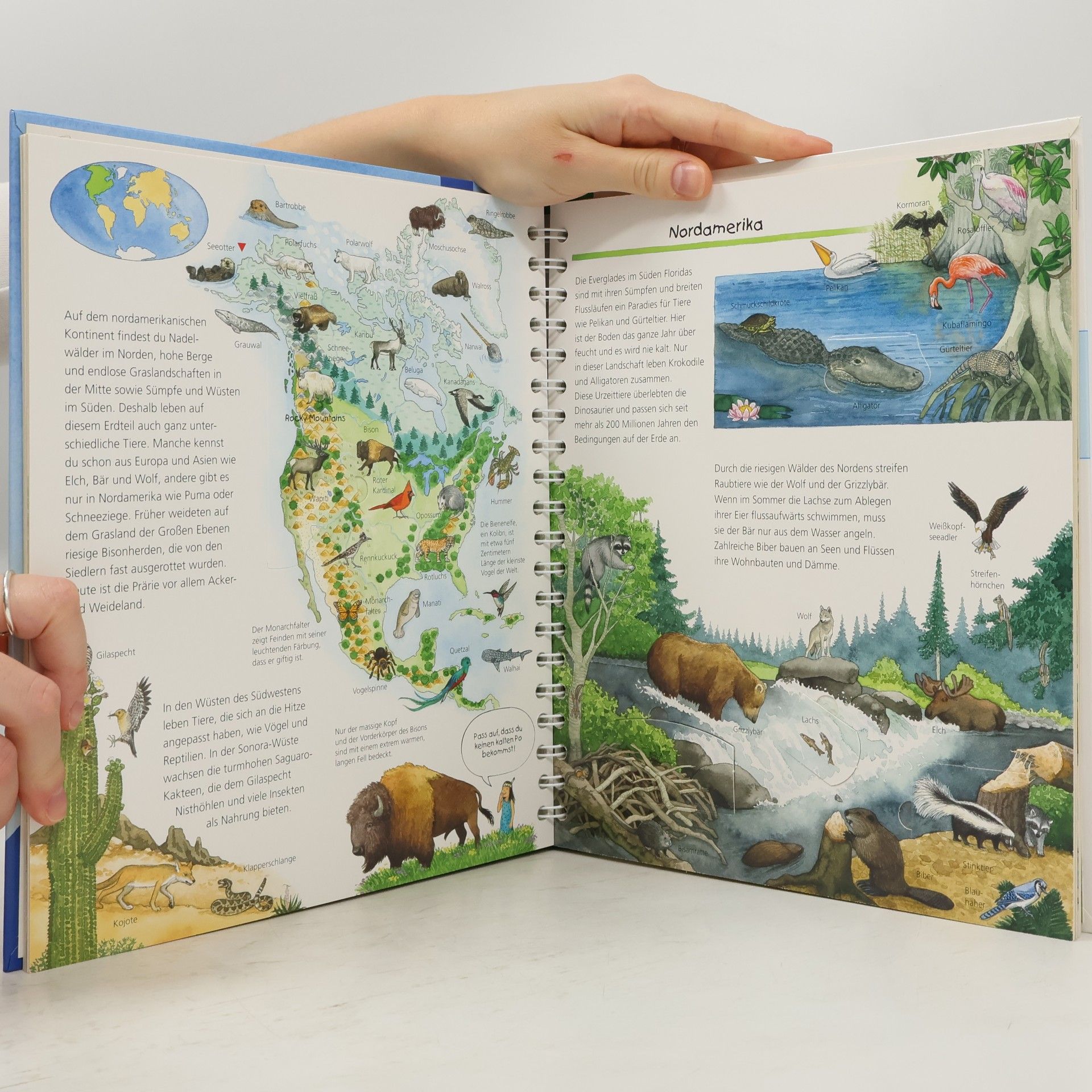 Various authors Mein großer Tieratlas