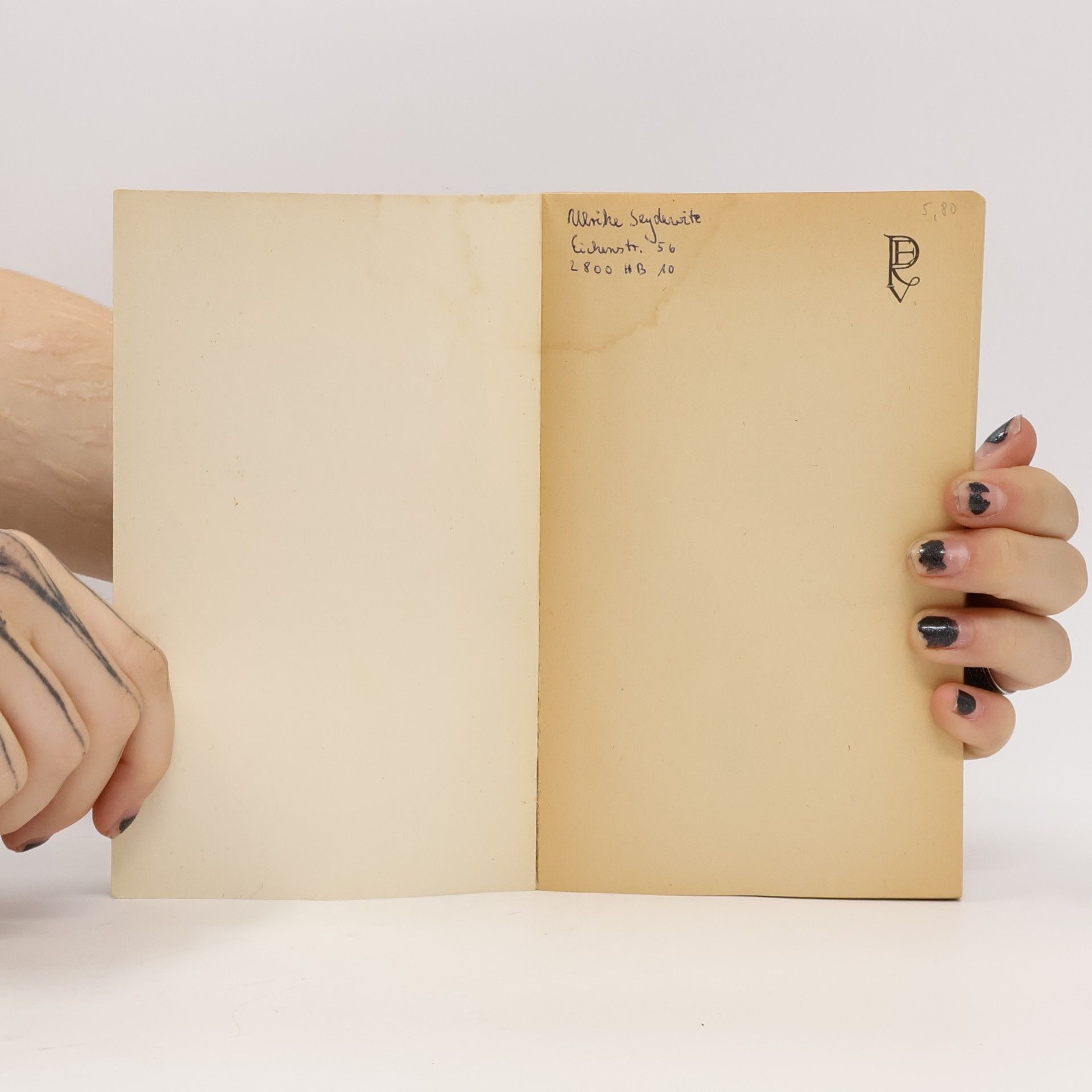 José Ortega y. Gasset Der Aufstand der Massen