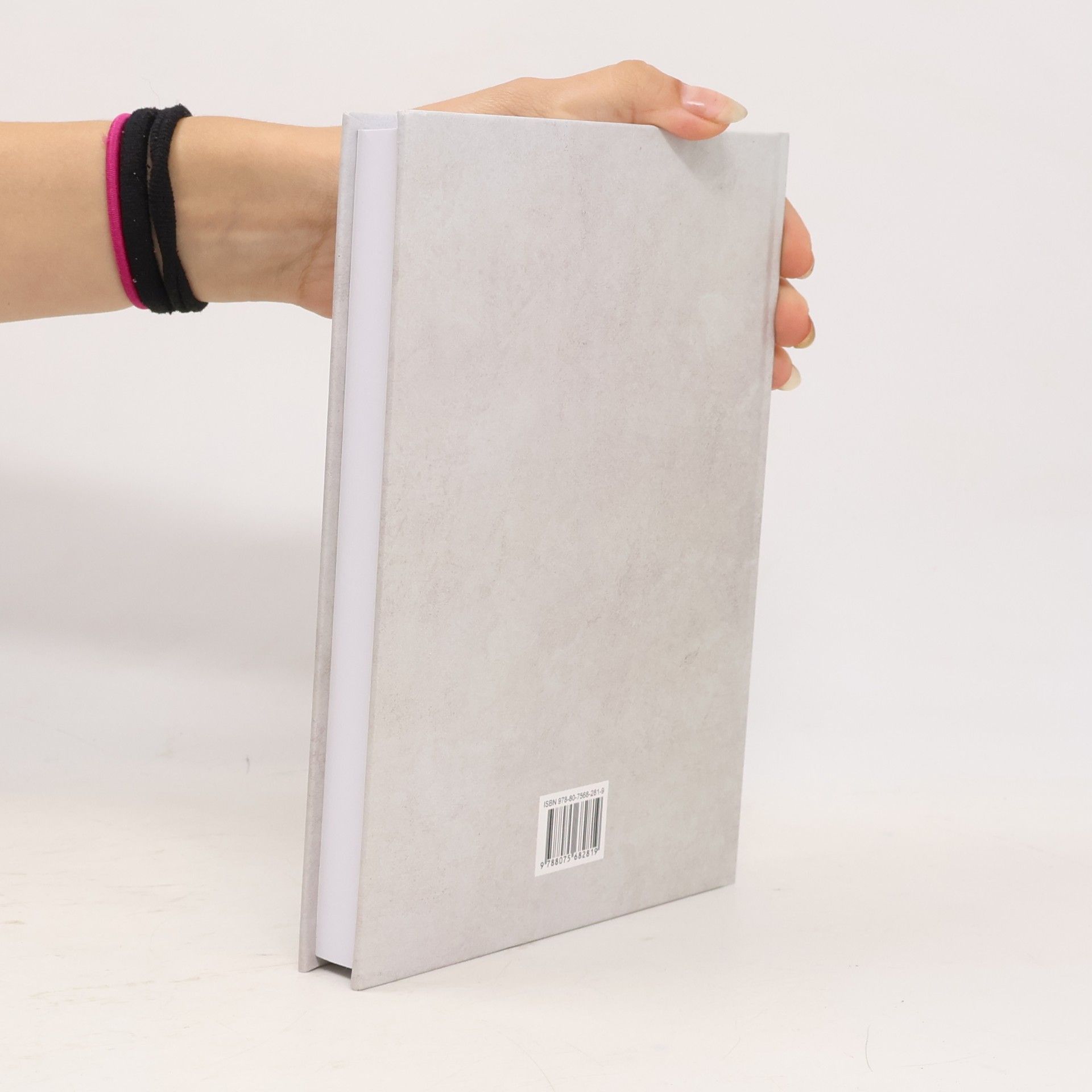 Petr Pavlíček Nový zákon s poznámkami