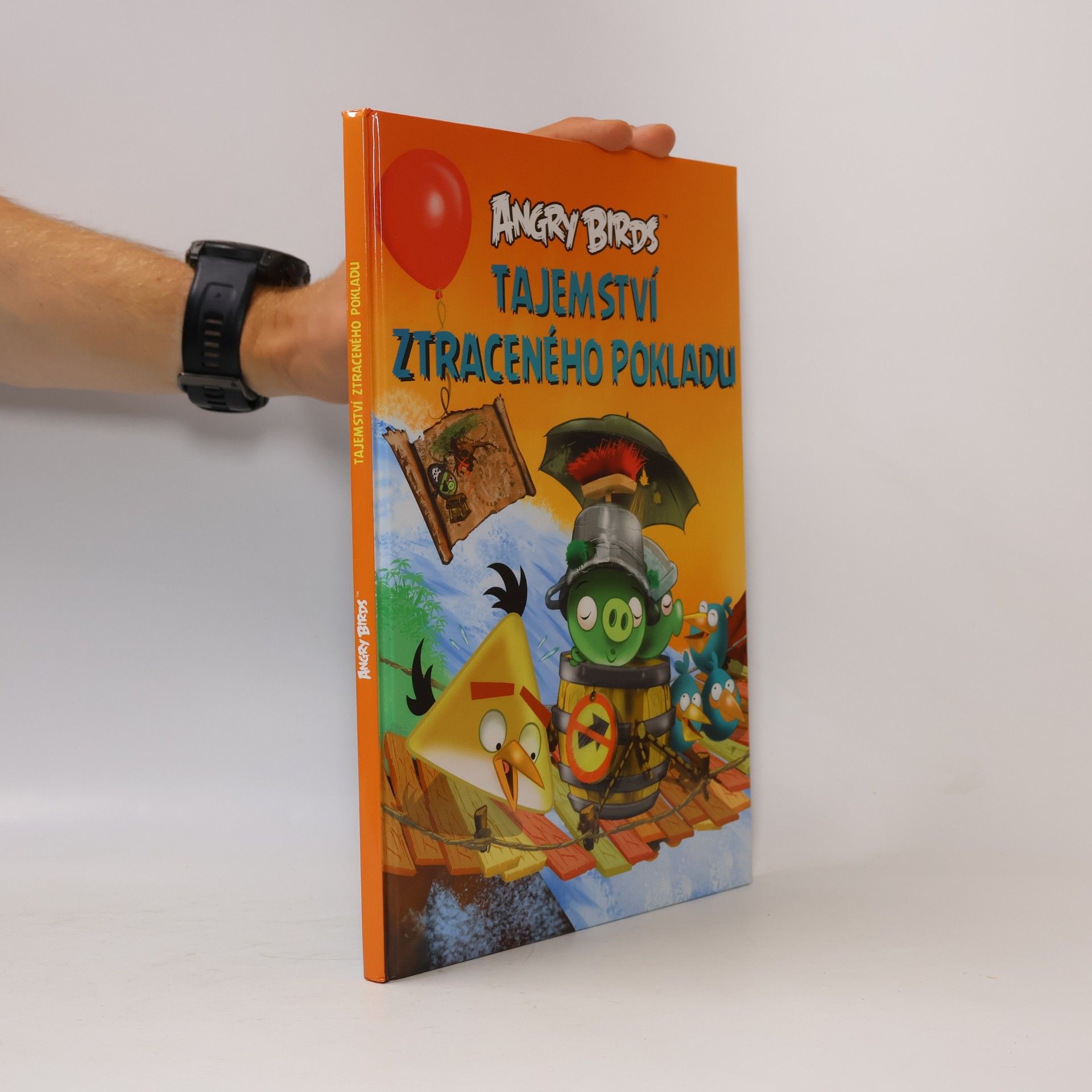 Jari Rasi Angry Birds. Tajemství ztraceného pokladu