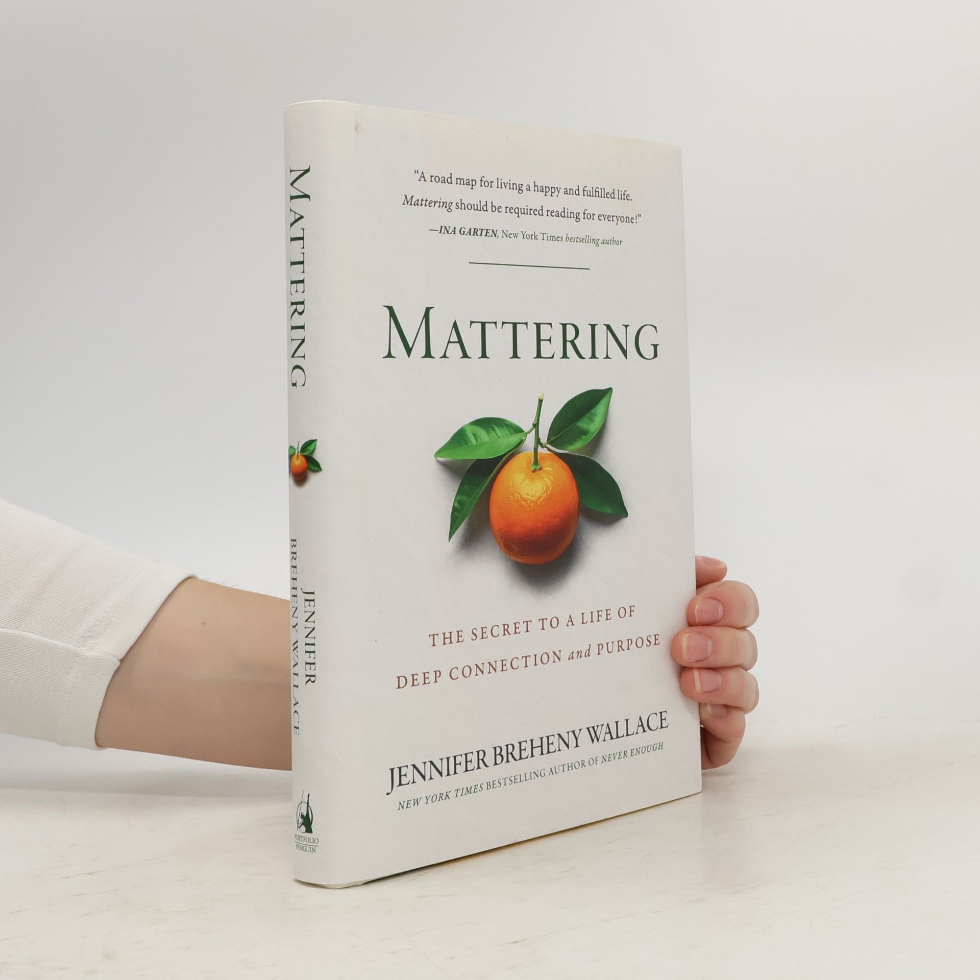 Jennifer Breheny Wallace Mattering: The Secret to a Life of Deep Connection and Purpose