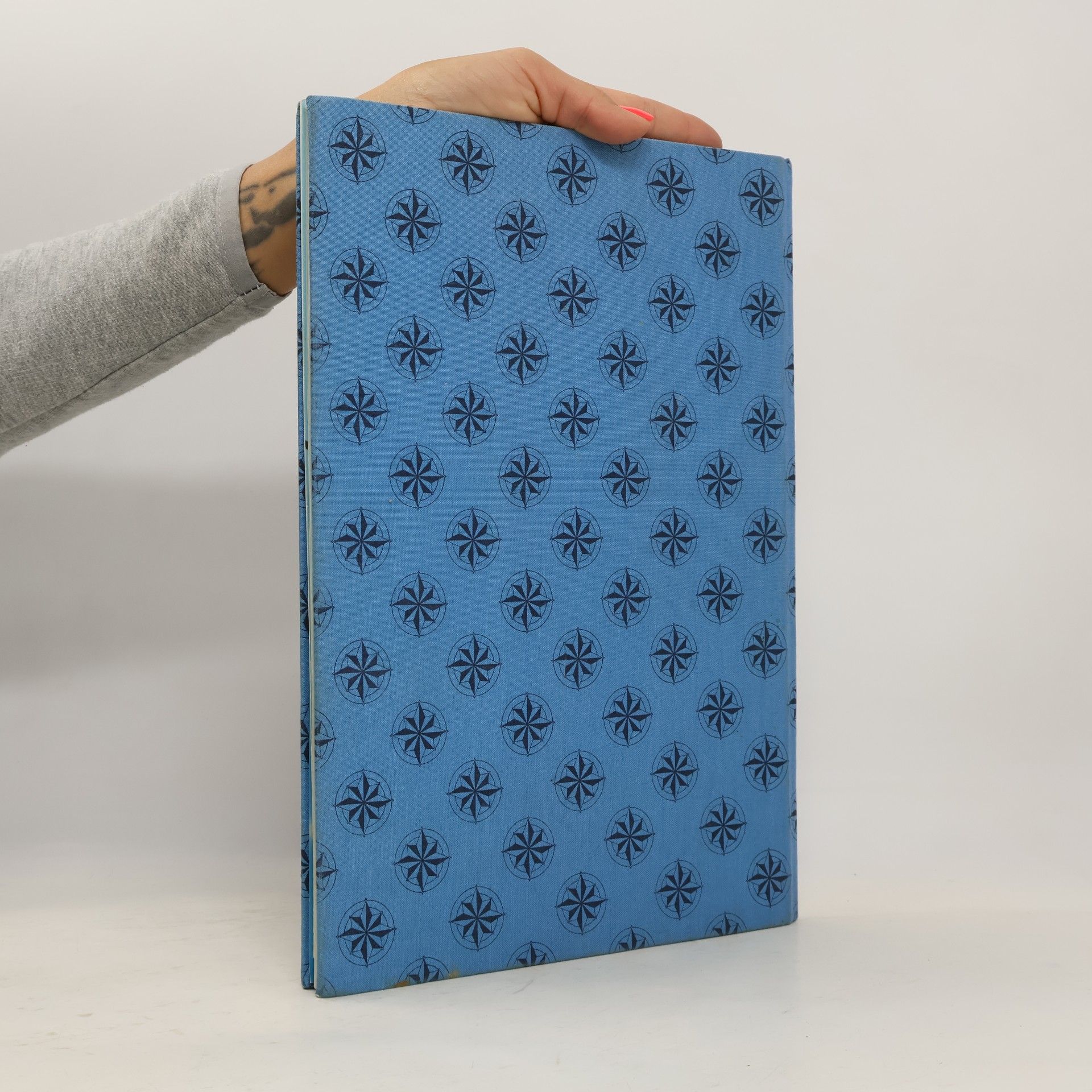 Thea Roß Das grosse Buch für kleine Segler