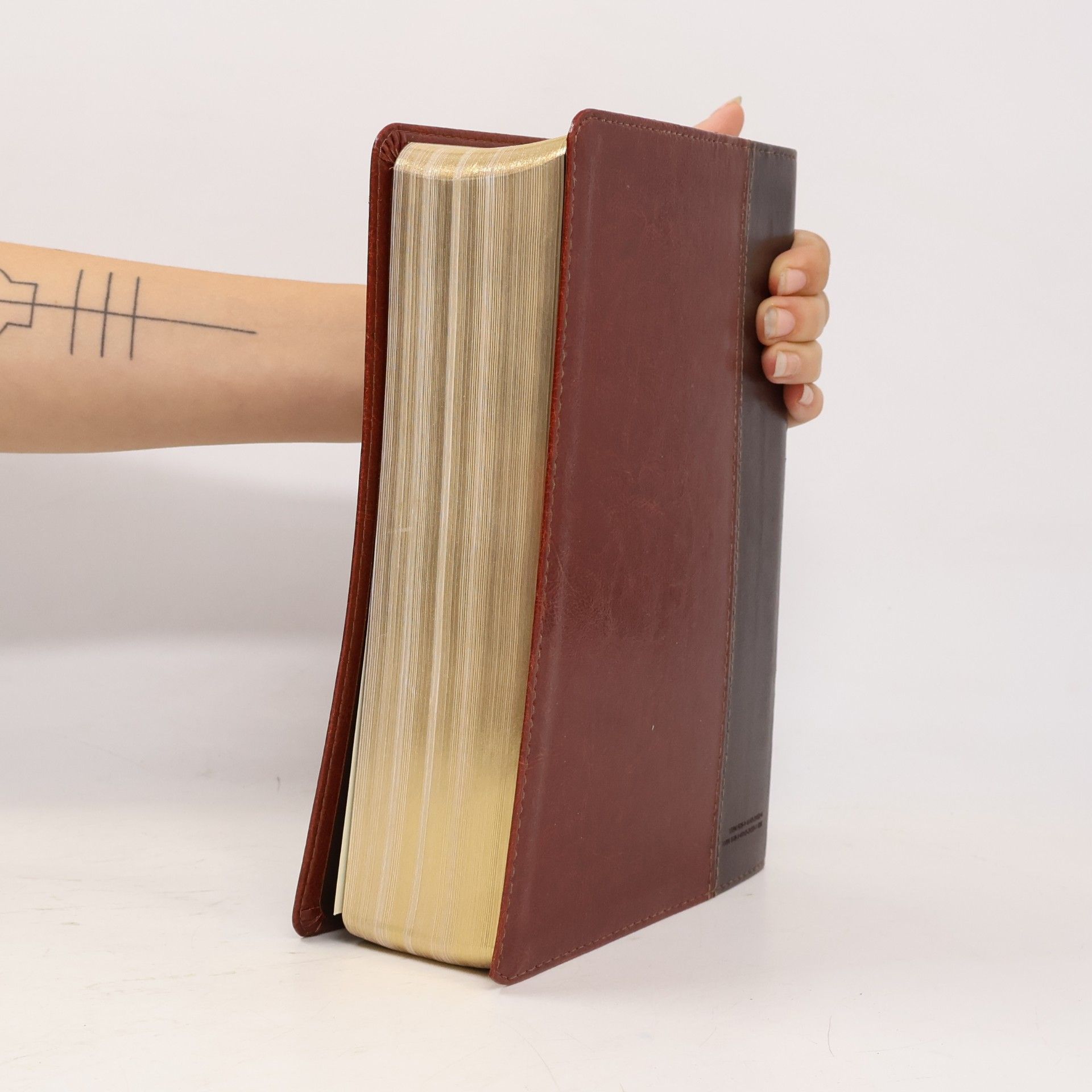 Kolektiv autorů NLT Study Bible