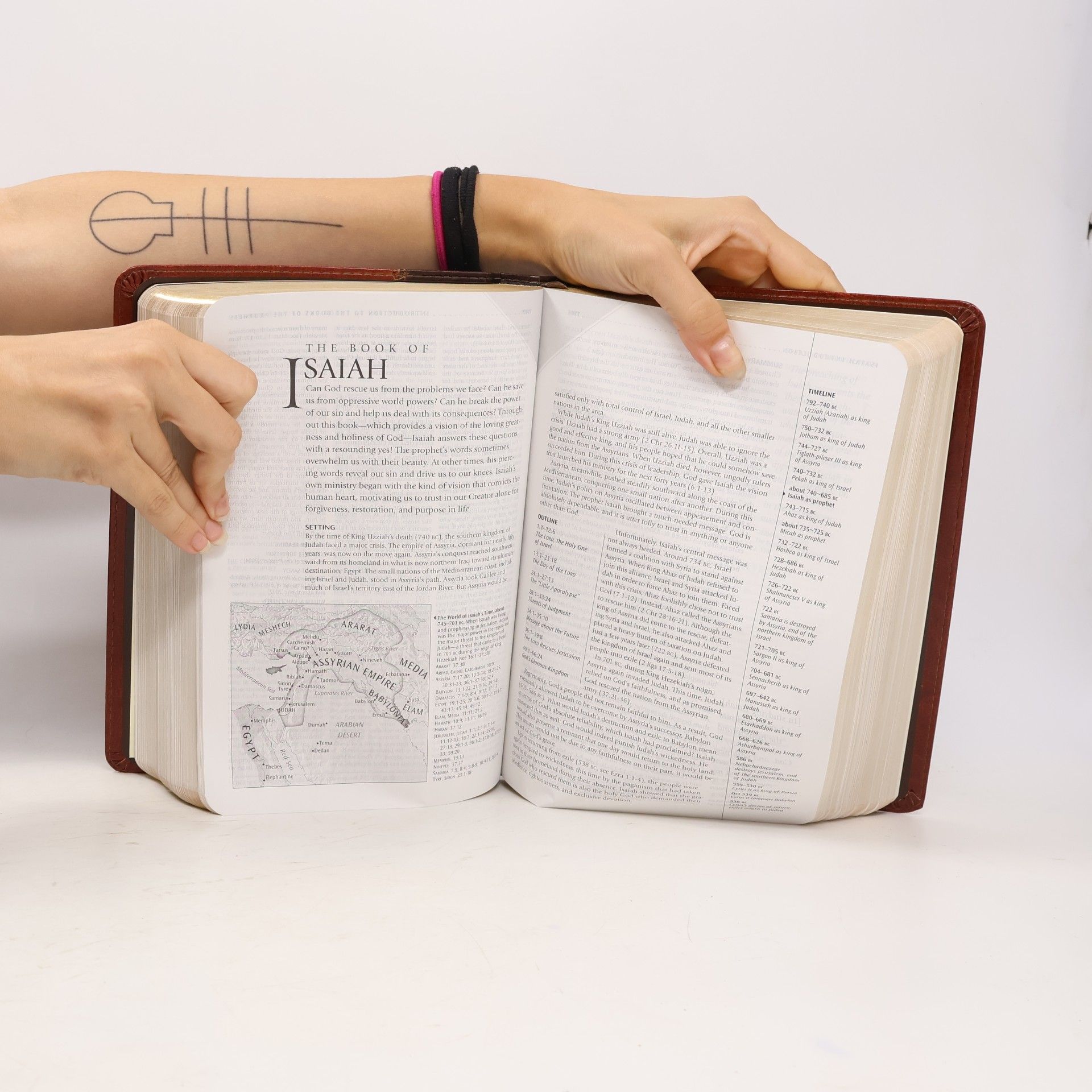 Kolektiv autorů NLT Study Bible