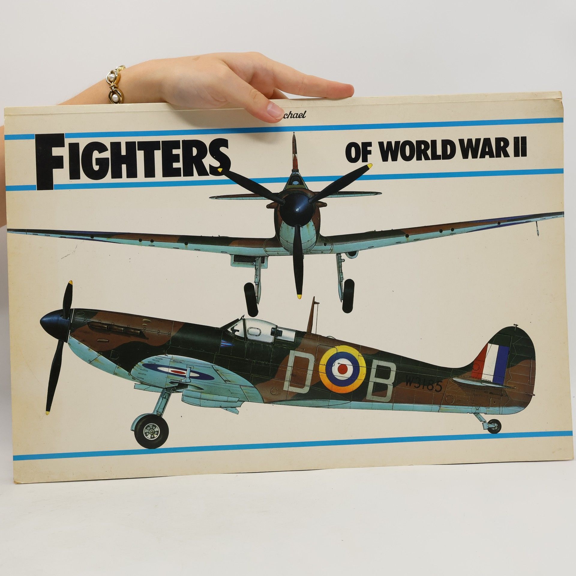 David Donald Fighters of World War II
