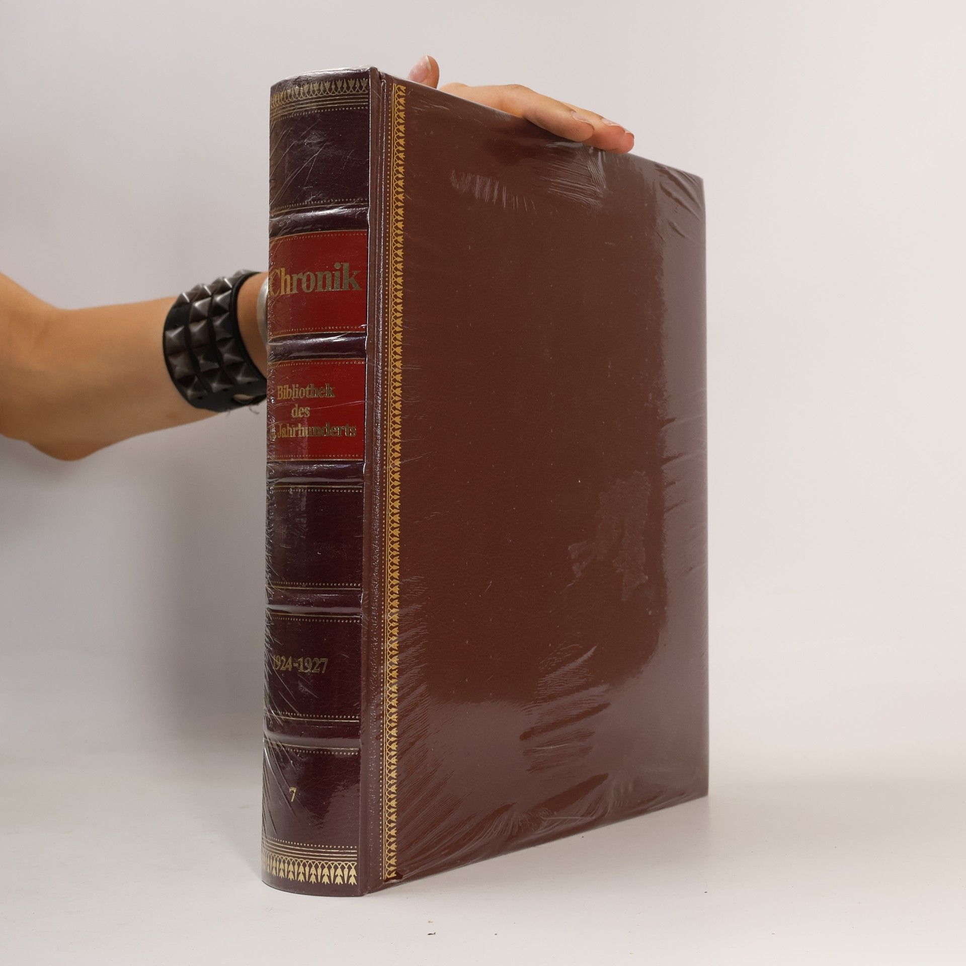 Kolektiv autorů Chronik. Bibliothek des 20. Jahrhunderts 7. 1924 - 1927