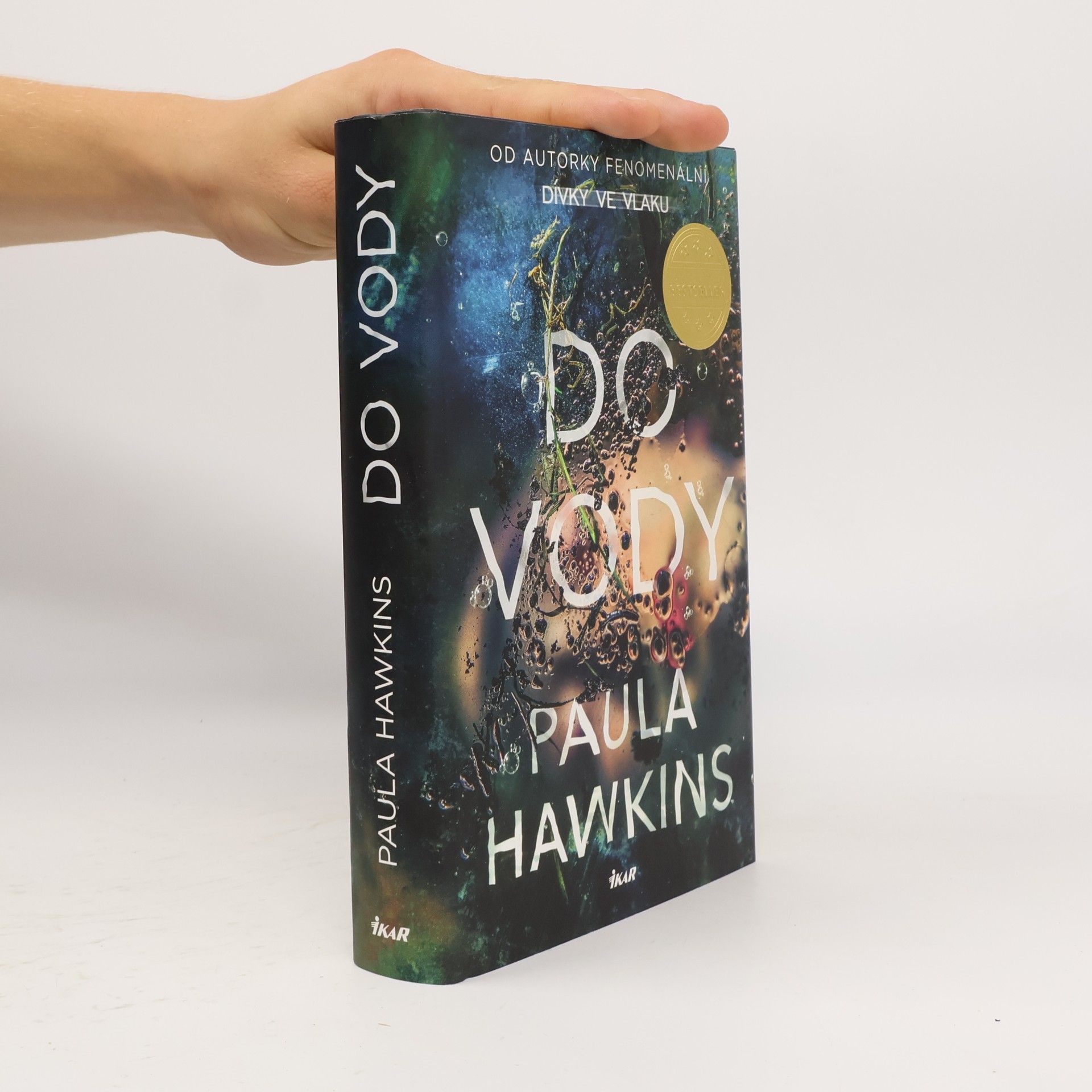 Paula Hawkins Do vody