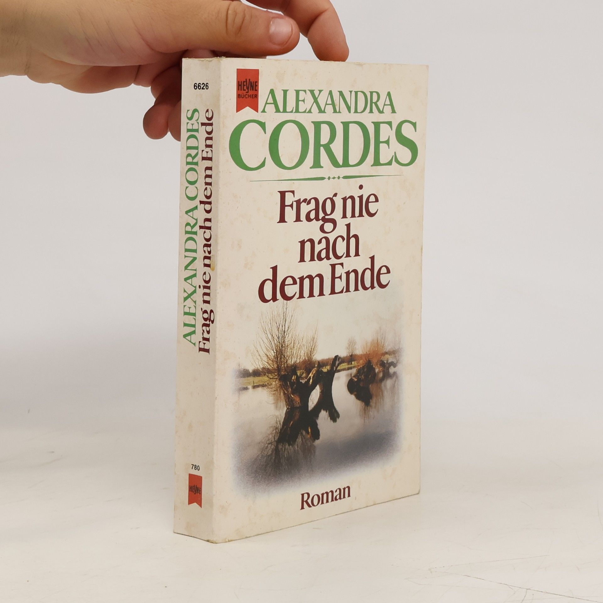 Alexandra Cordes Frag nie nach dem Ende