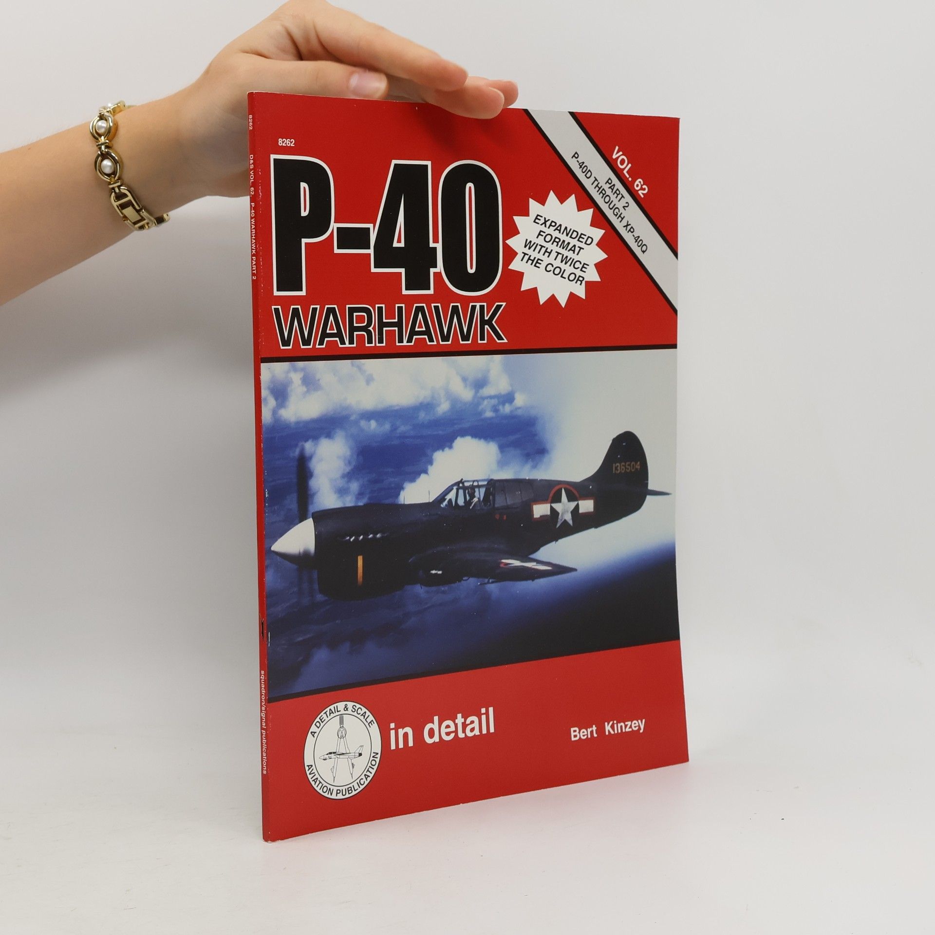 Bert Kinzey P-40 Warhawk in Detail. Part 2