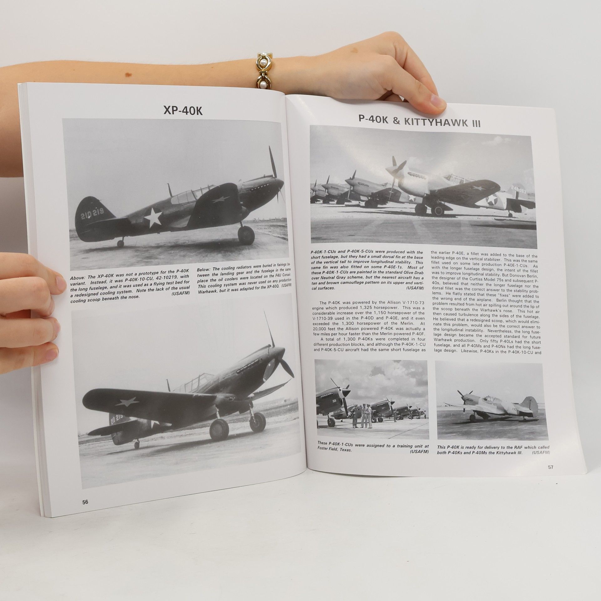 Bert Kinzey P-40 Warhawk in Detail. Part 2