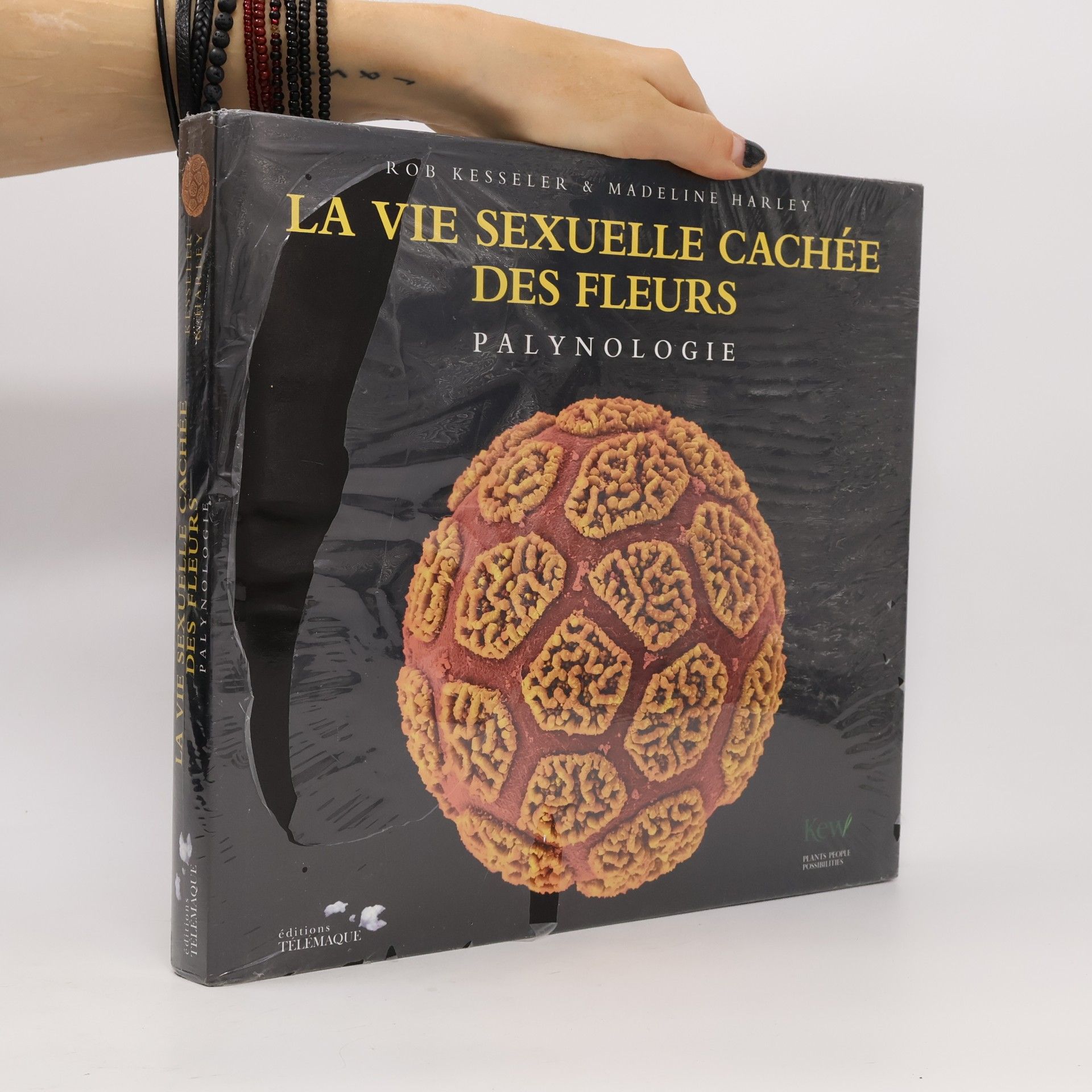 La vie sexuelle cachée des fleurs