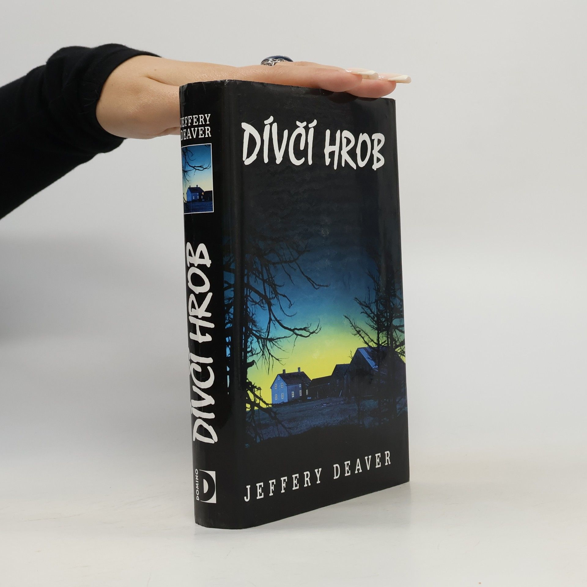 Jeffery Deaver Dívčí hrob
