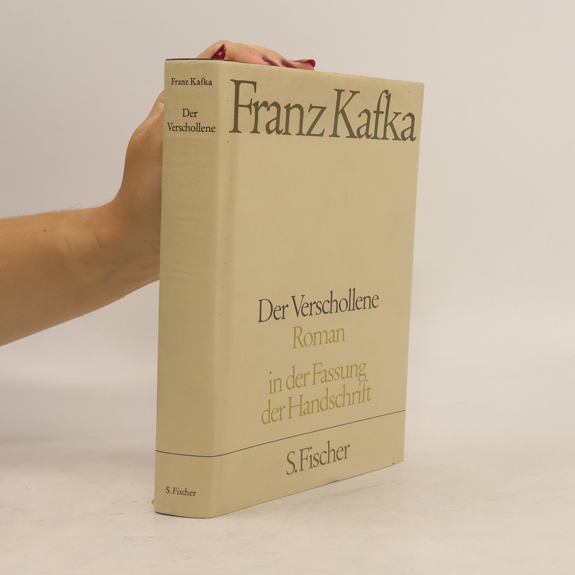 Franz Kafka Der Verschollene