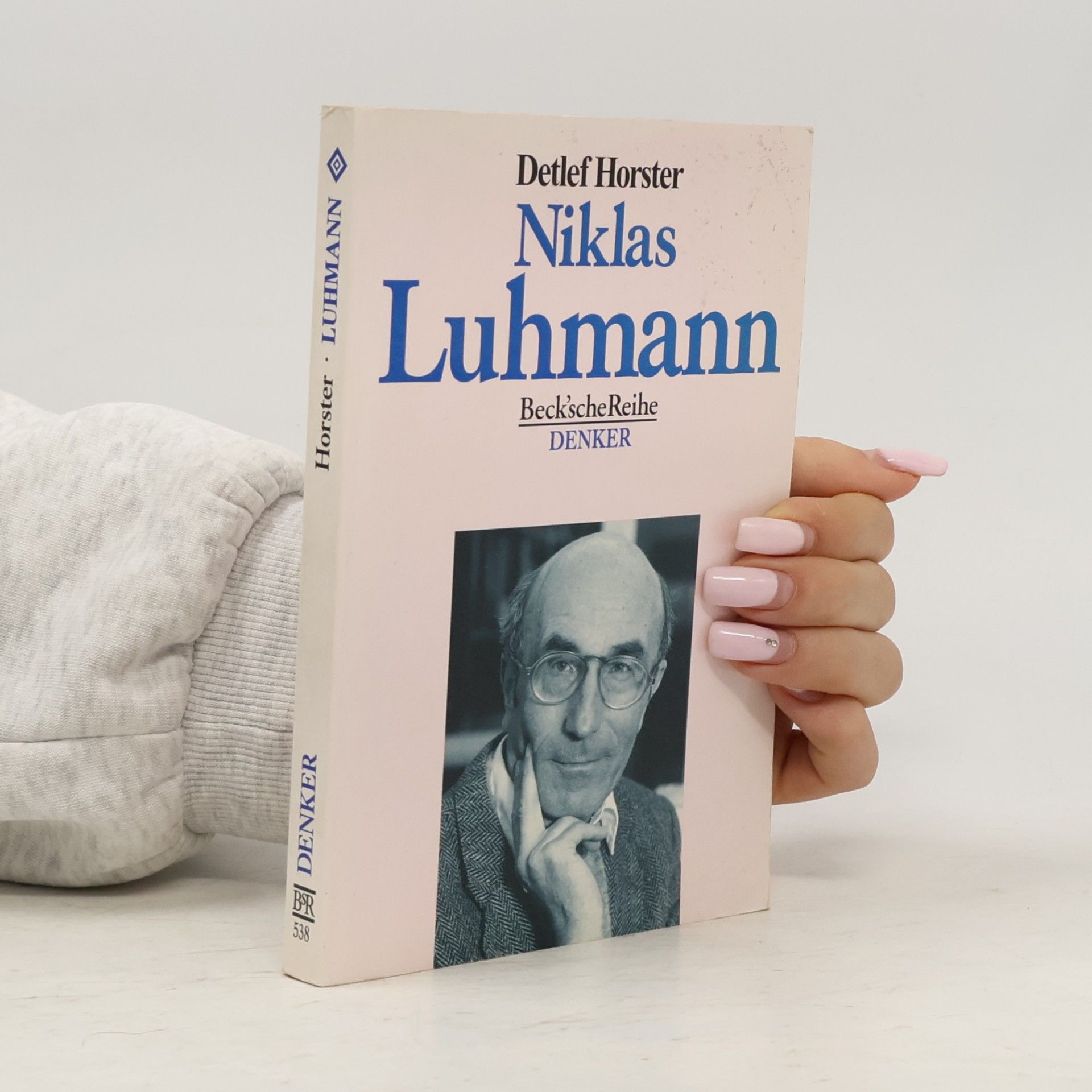 Detlef Horster Niklas Luhmann