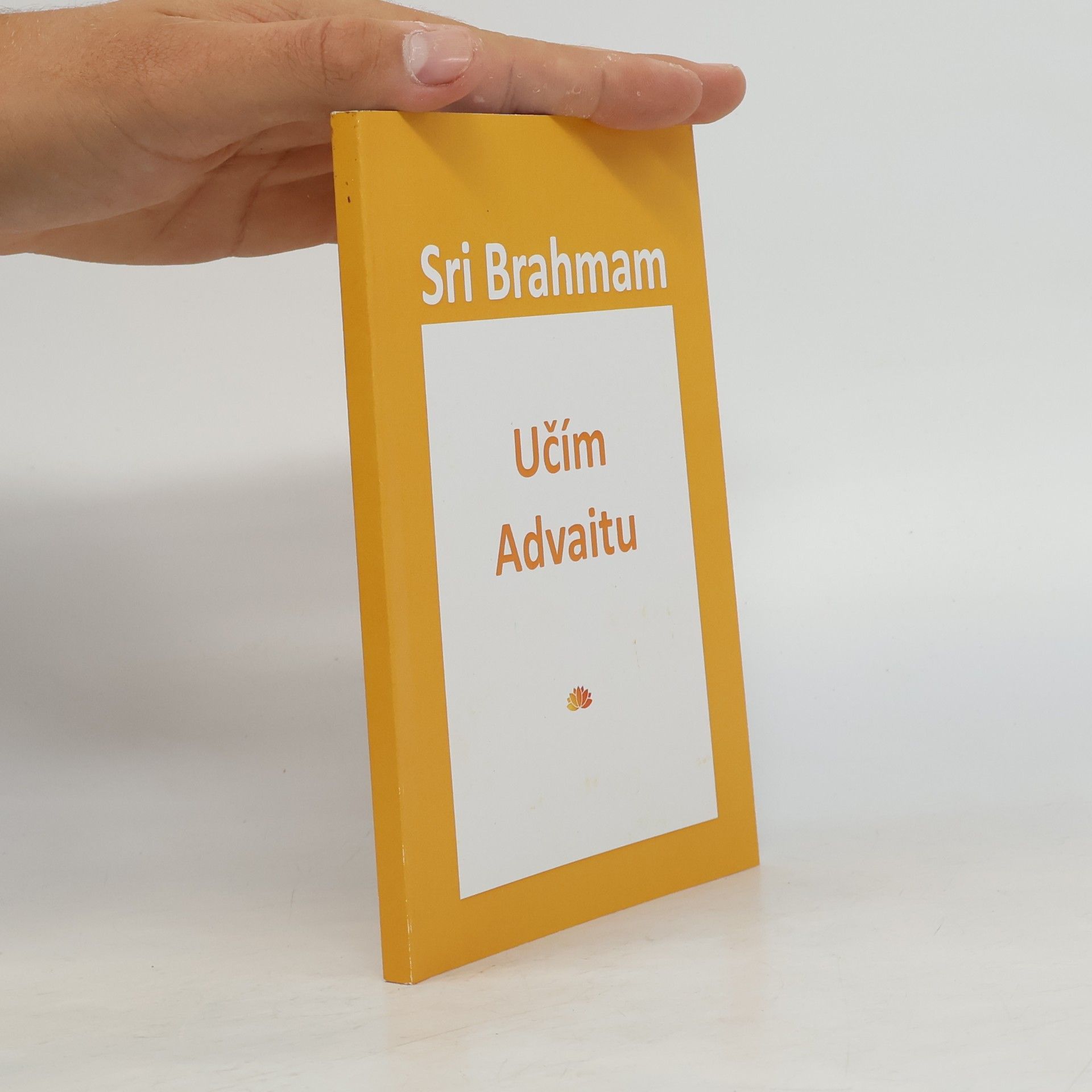 Šrí V. V. Brahmam Učím Advaitu