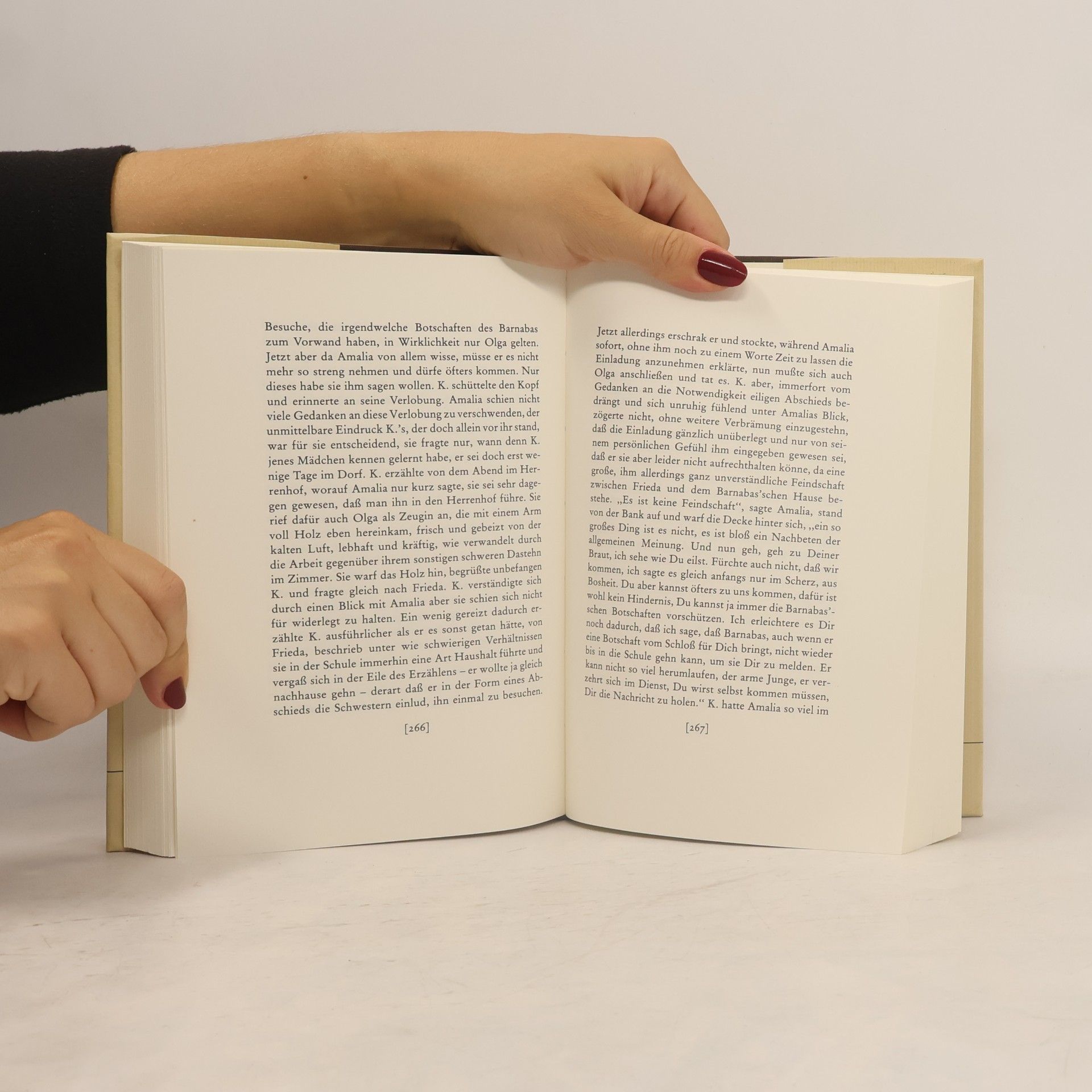 Franz Kafka Das Schloß (in der Fassung der Handschrift)