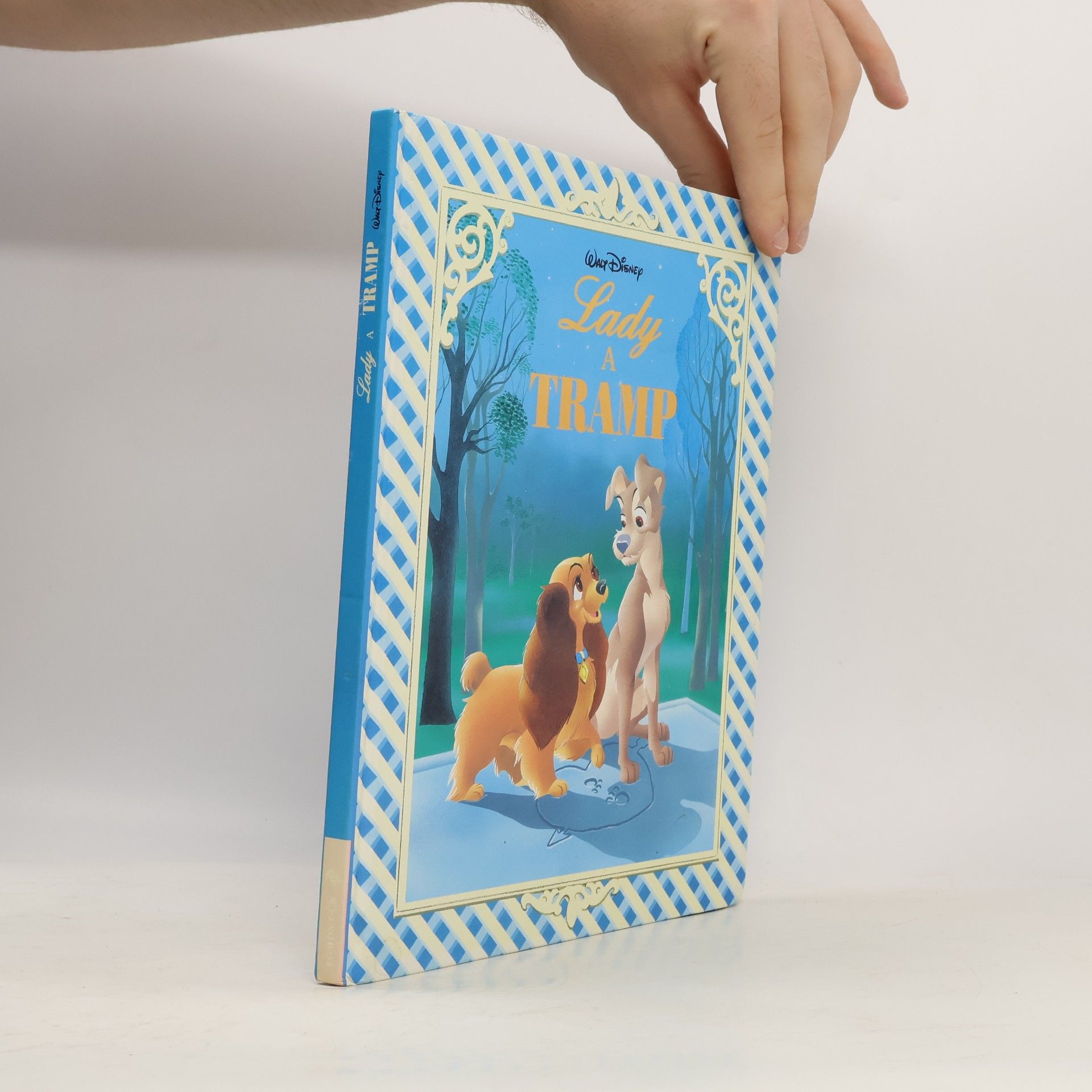 Walt Disney Lady a Tramp