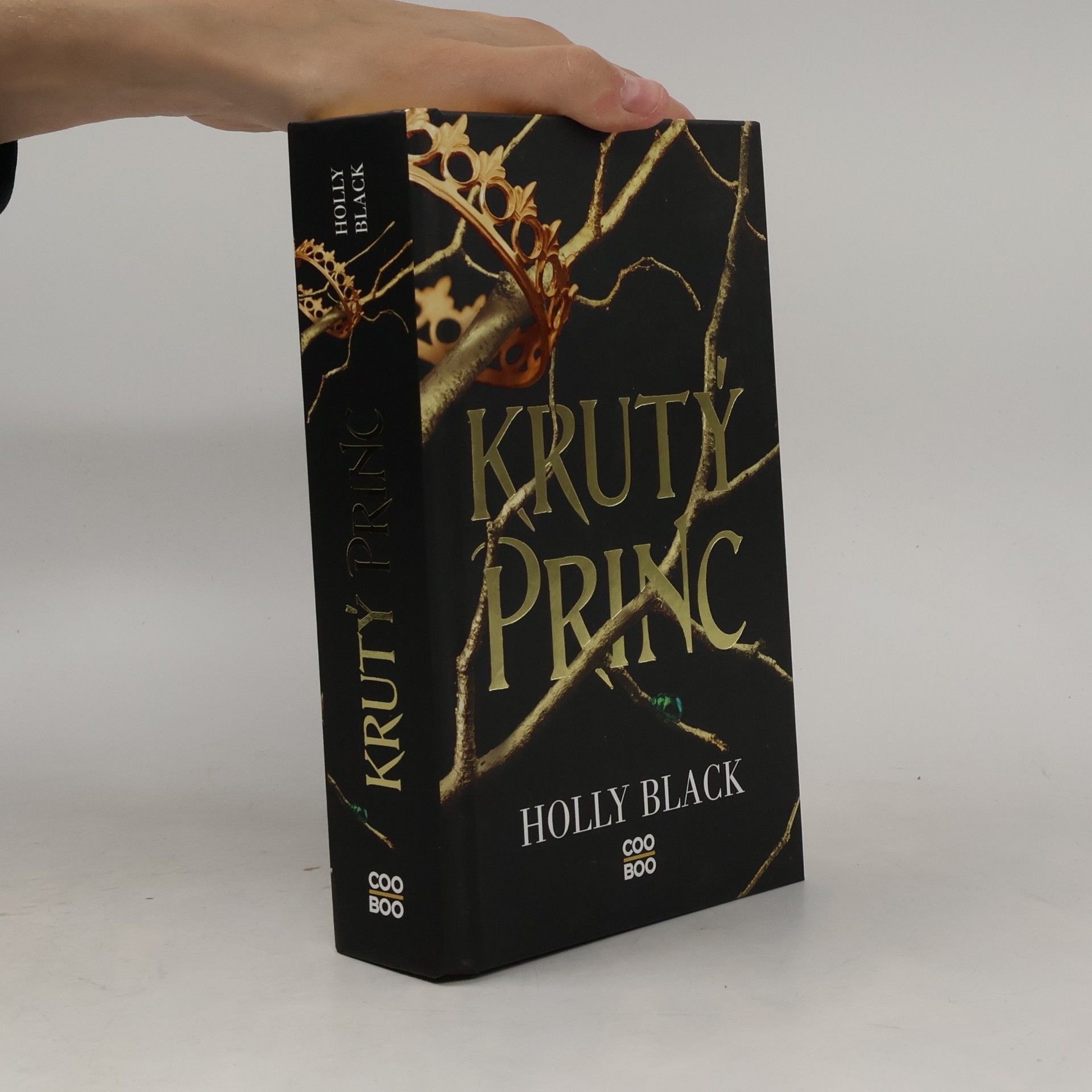 Holly Black Krutý princ
