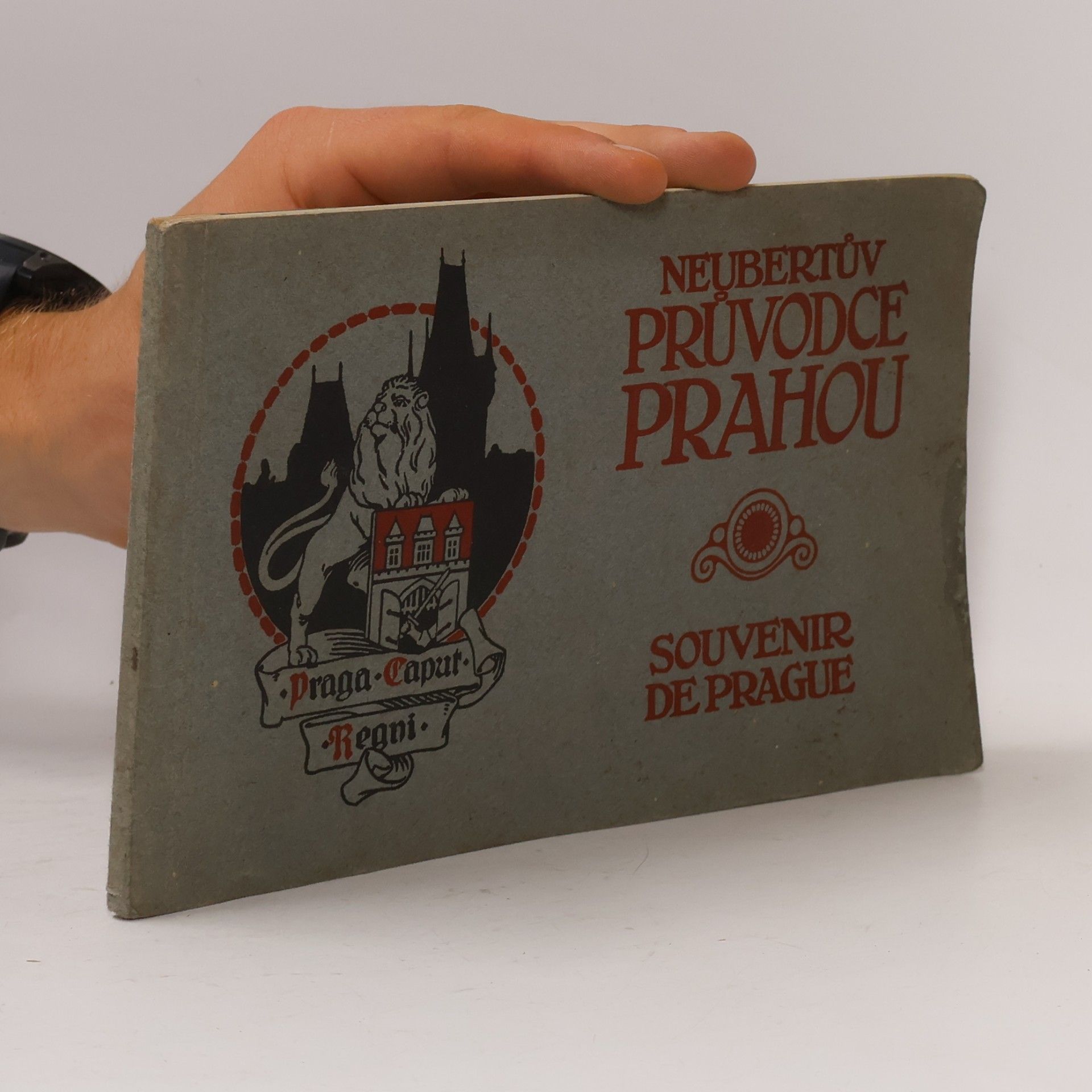 Jan Dolenský Illustrovaný průvodce královskou Prahou