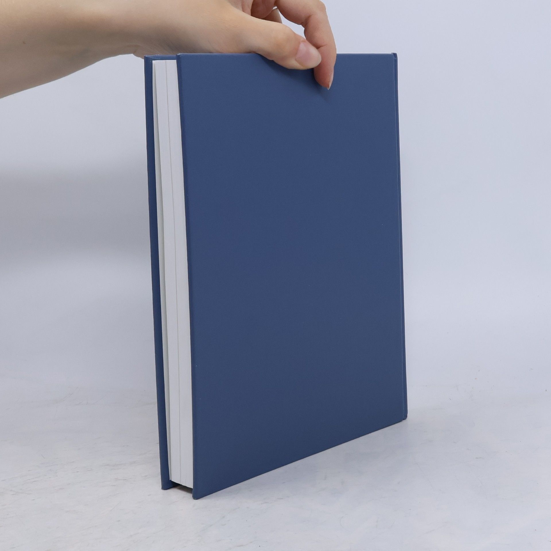 Michael O'Rourke Principles of Three-Dimensional Computer Animation