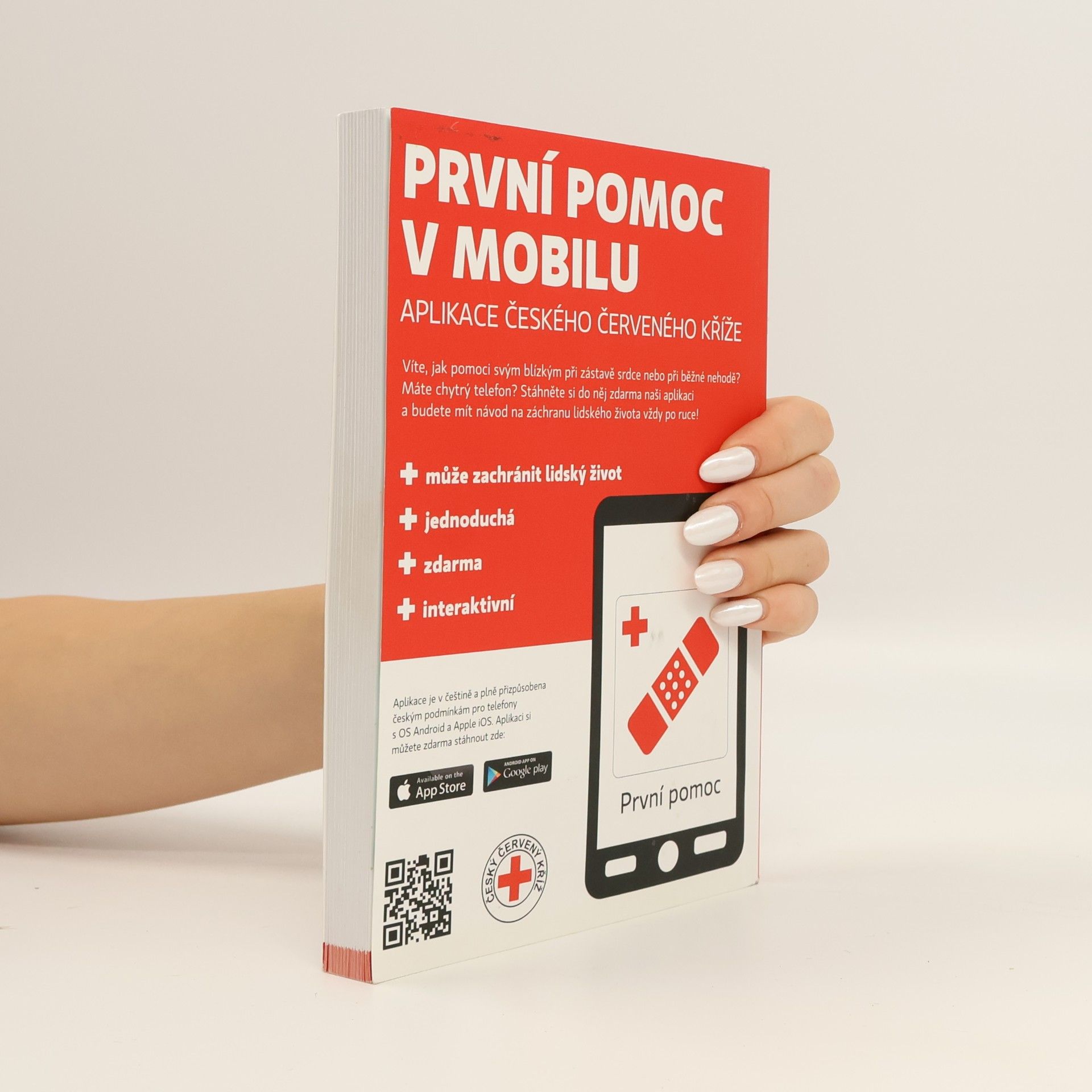Kolektiv autorů Zdravotník zotavovacích akcí