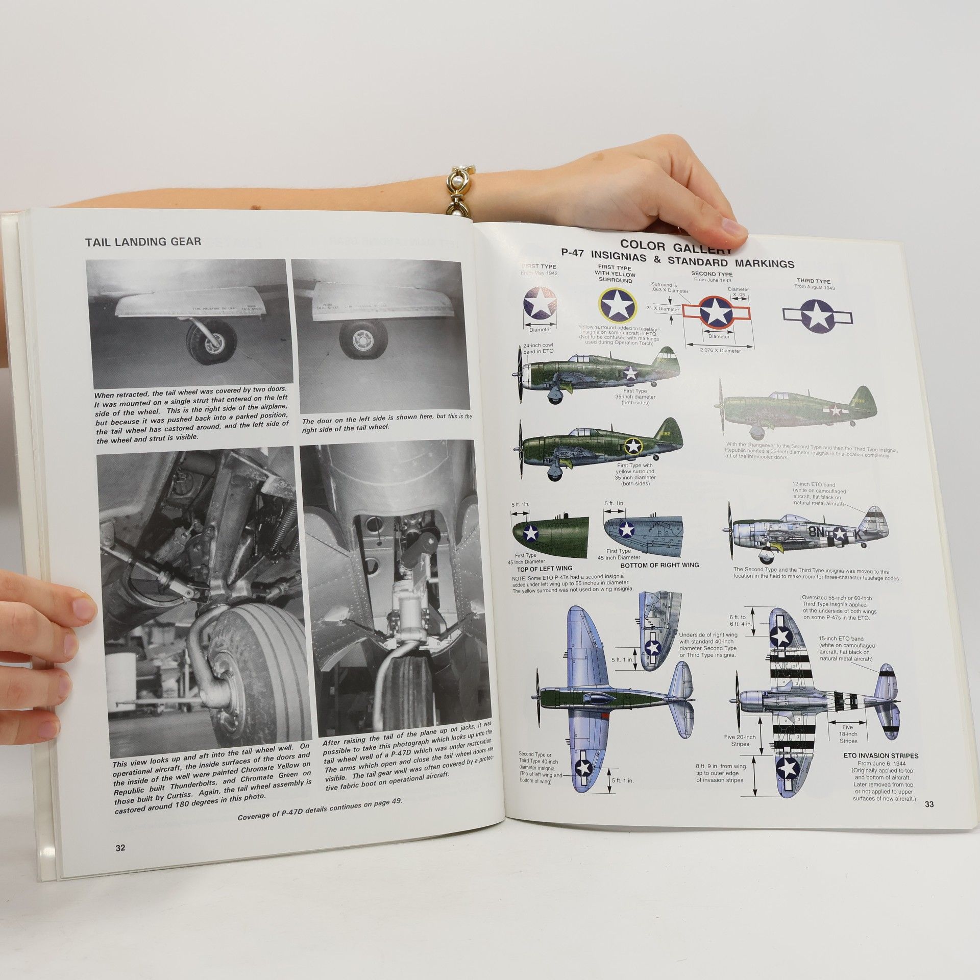 Bert Kinzey P-47 Thunderbolt
