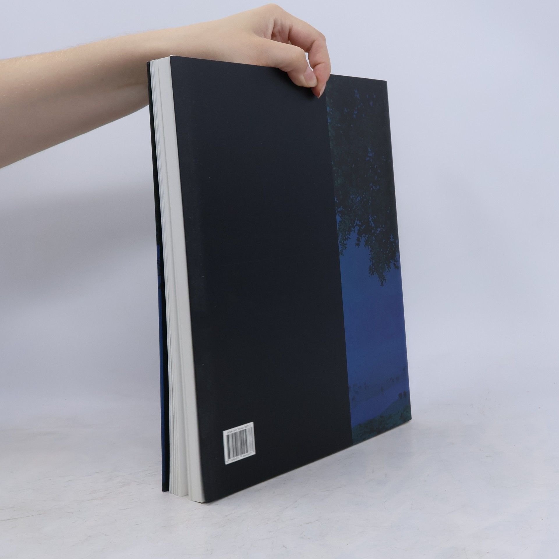 Autorenkollektiv René Magritte. Der Schlüssel der Träume