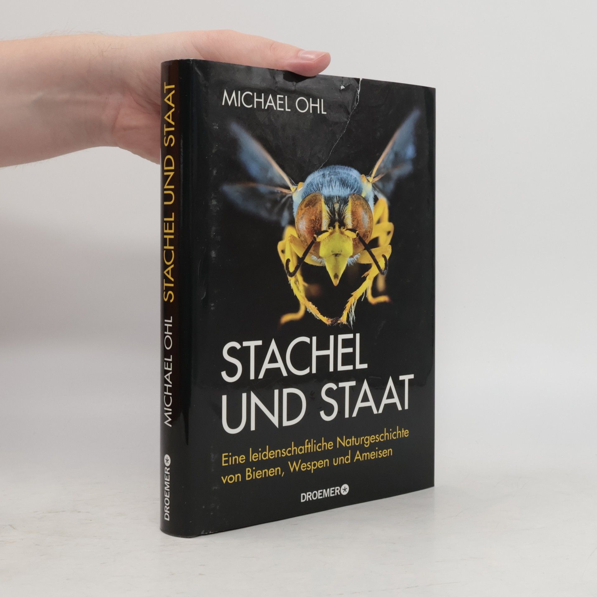Stachel und Staat