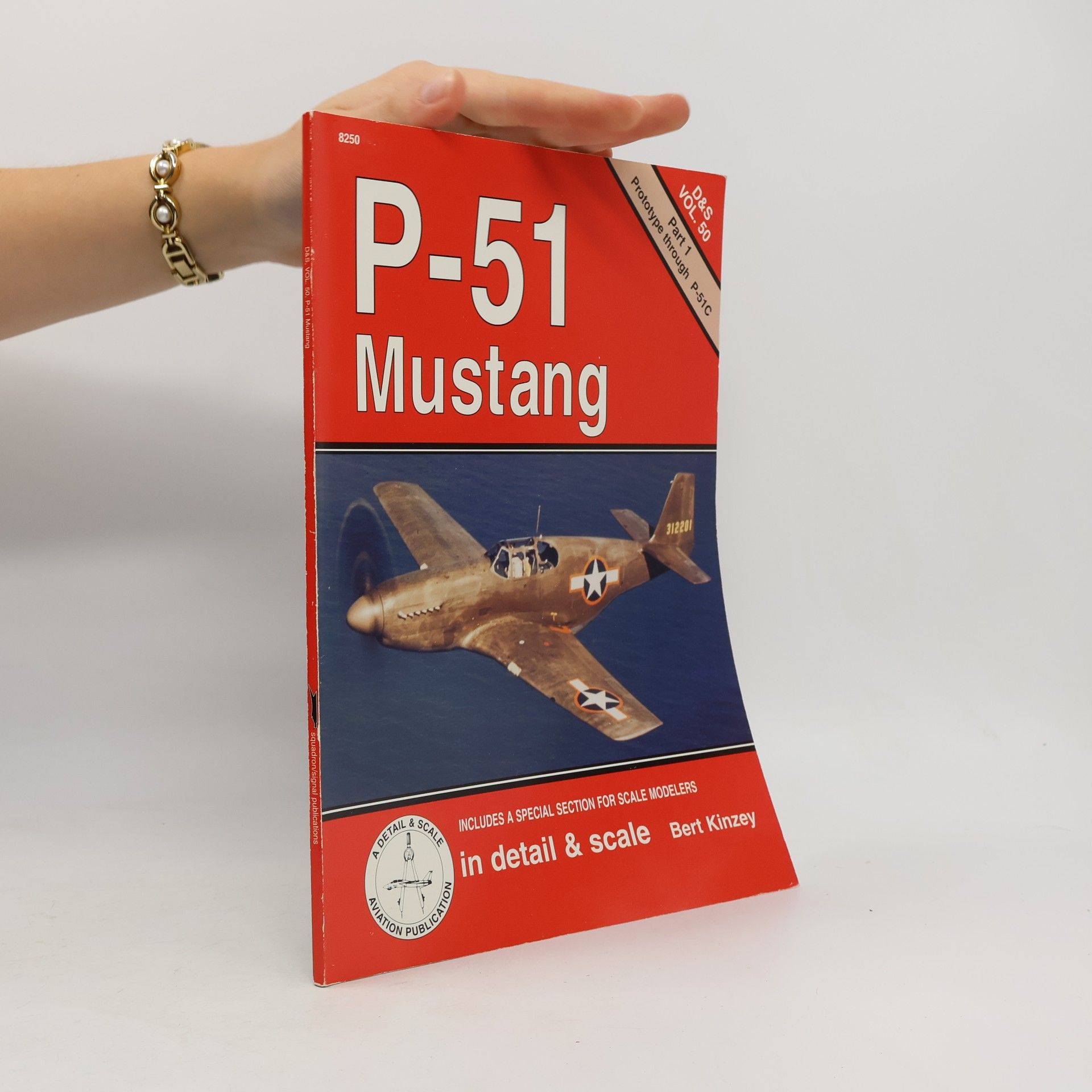 Bert Kinzey P-51 Mustang 1