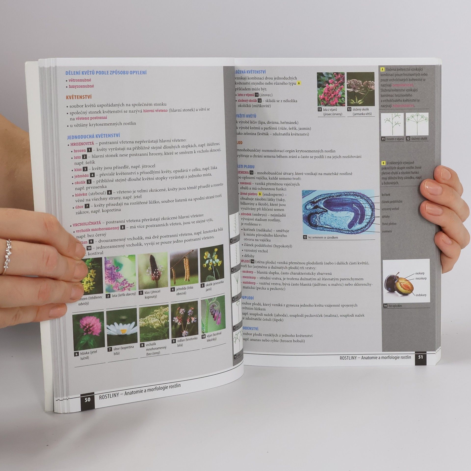 Collectif d'auteurs Odmaturuj! z biologie