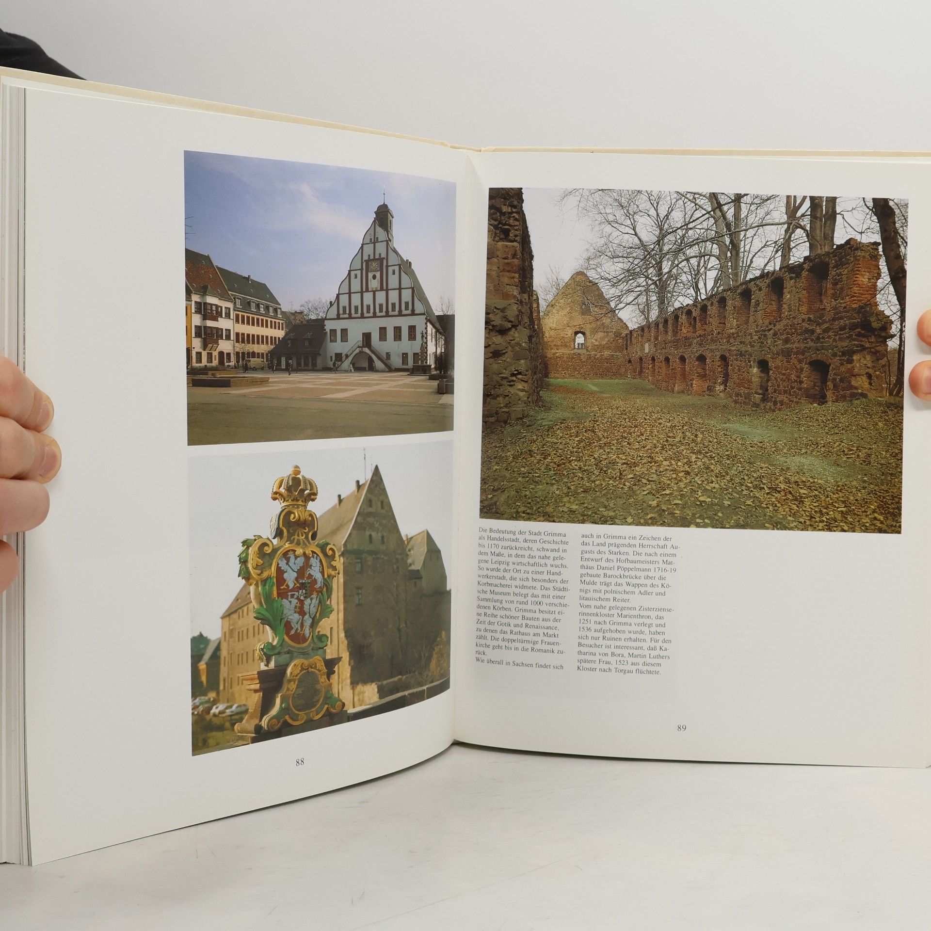 Heinrich Pleticha Kulturlandschaft Sachsen