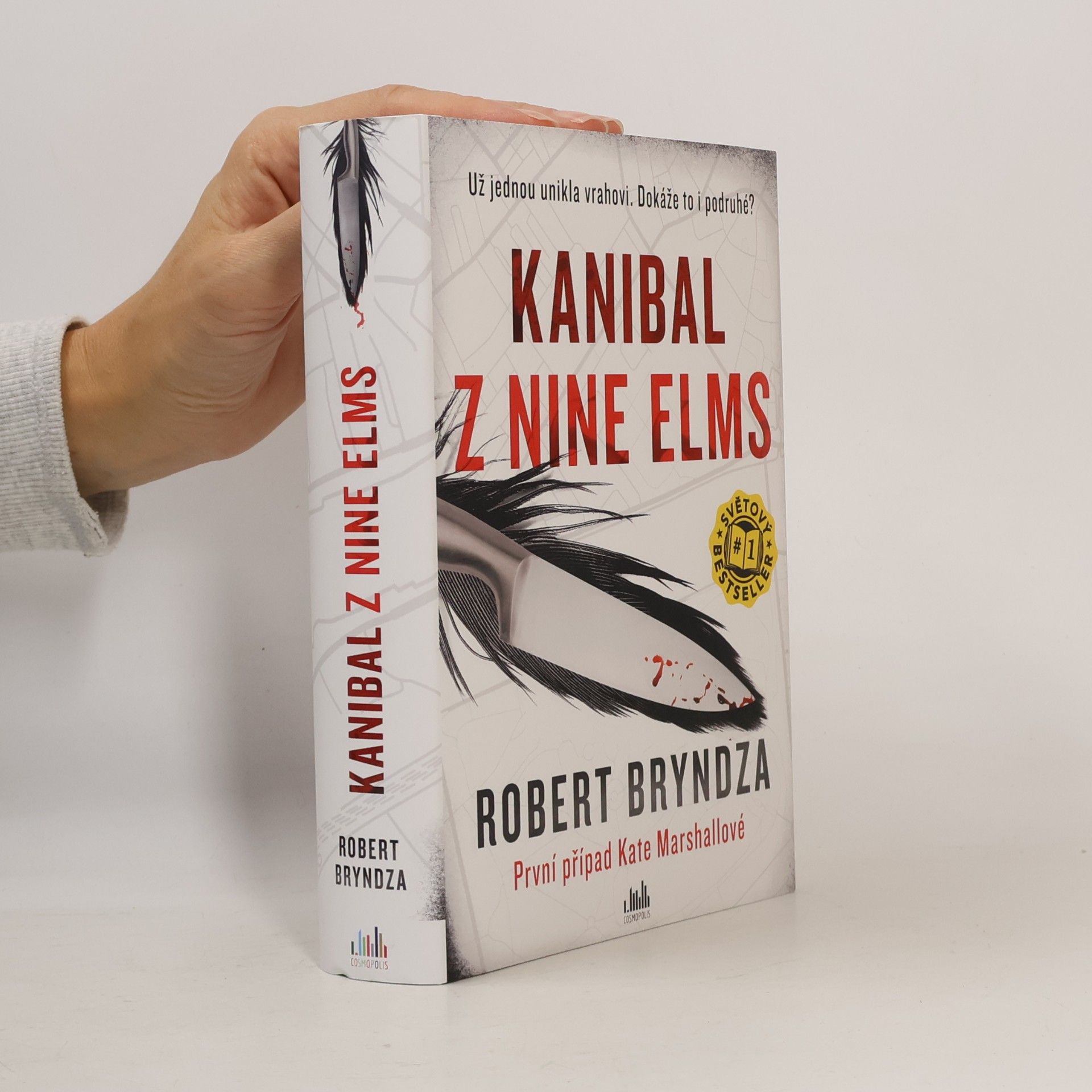 Robert Bryndza Kanibal z Nine Elms