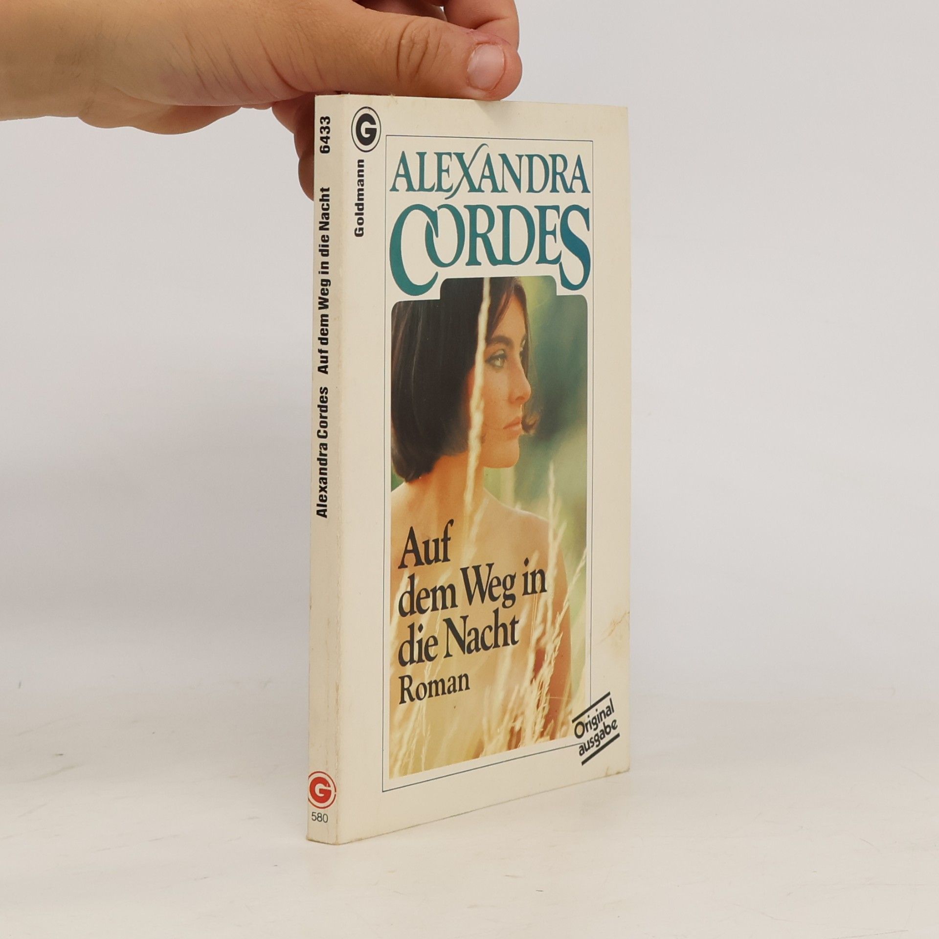 Alexandra Cordes Auf dem Weg in die Nacht