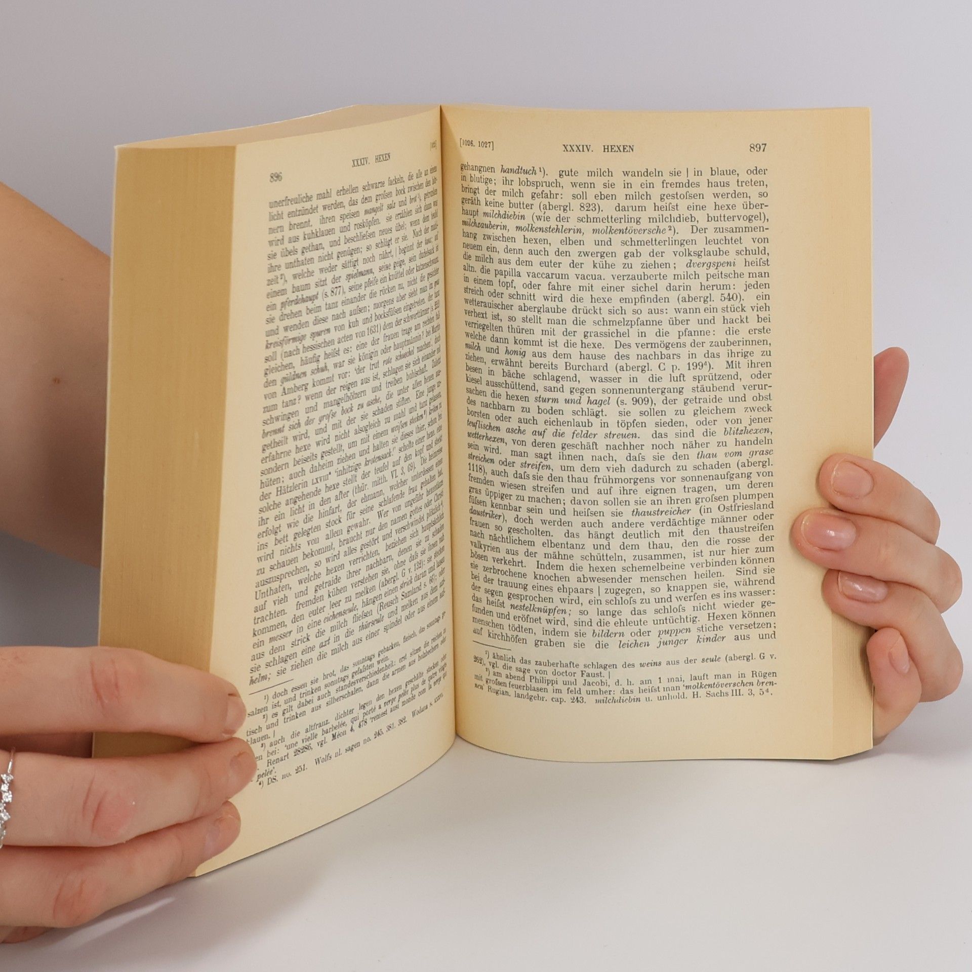 Jacob Grimm Deutsche Mythologie
