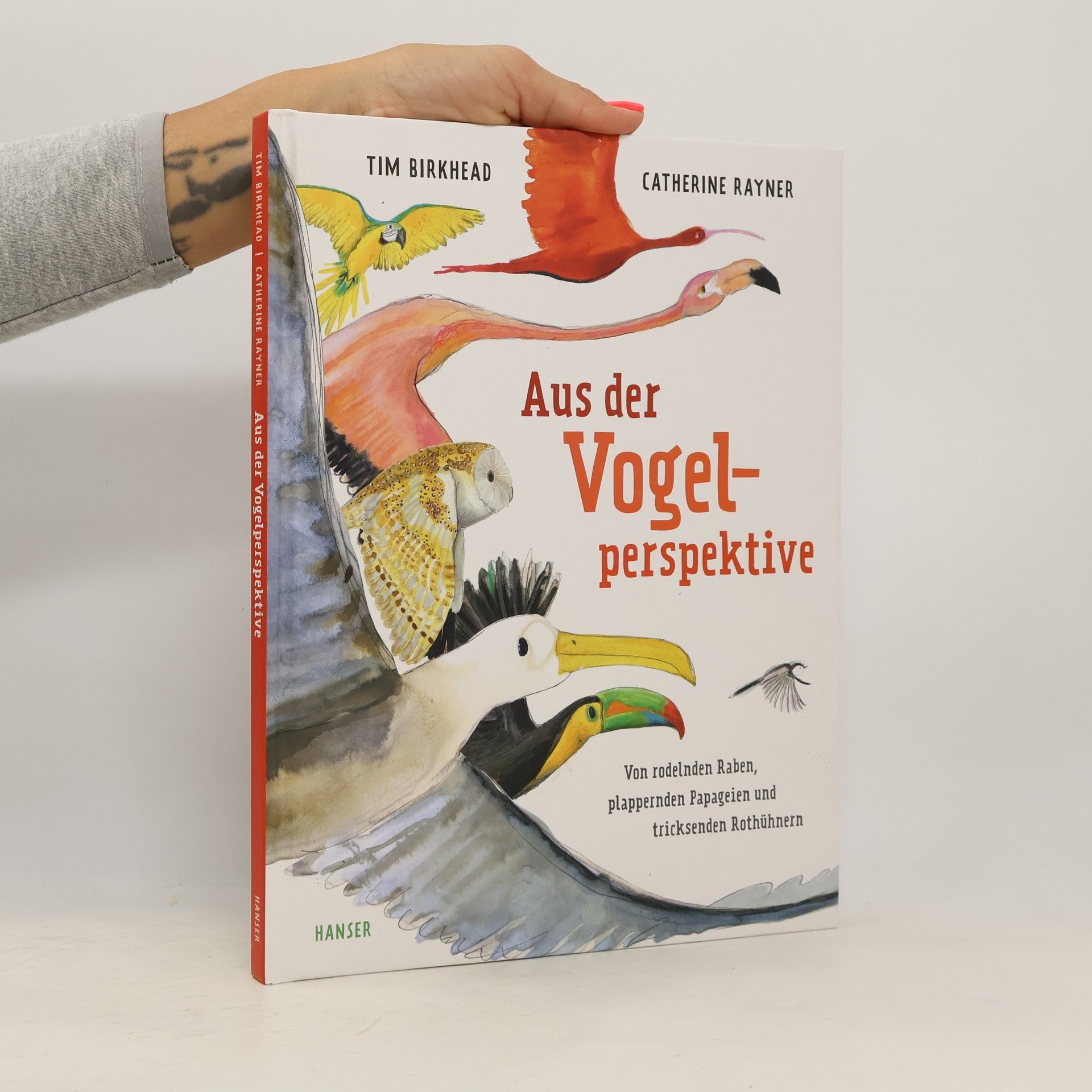 Tim Birkhead Aus der Vogelperspektive