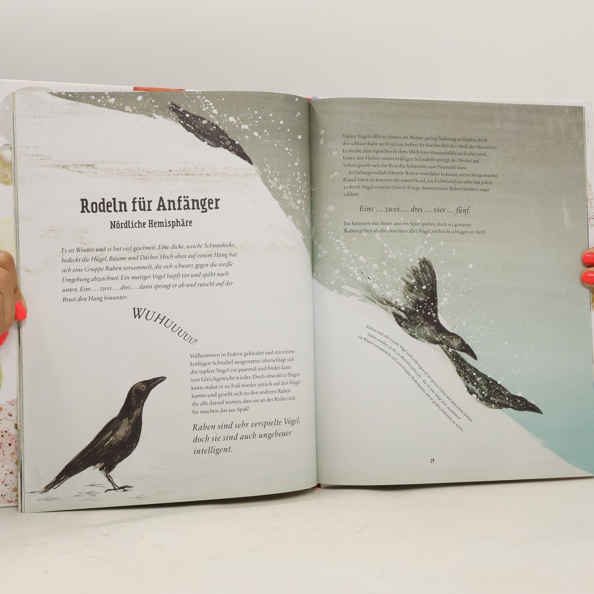 Tim Birkhead Aus der Vogelperspektive