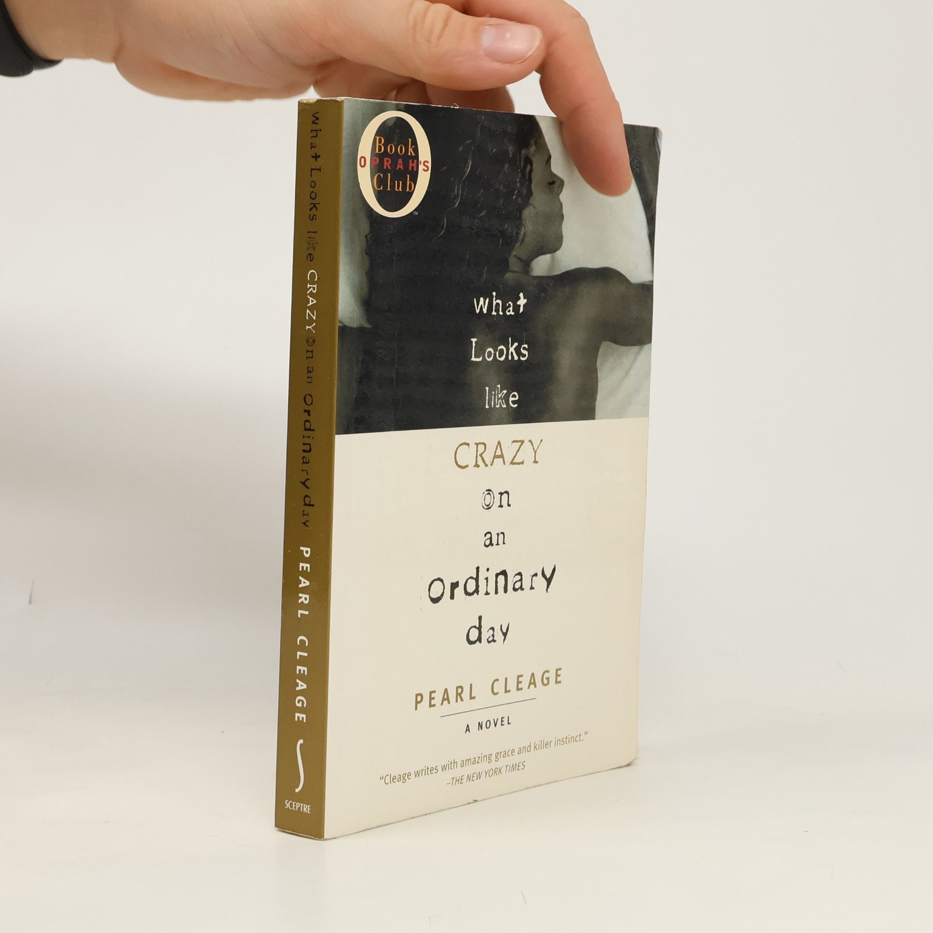 Pearl Cleage What Looks Like Crazy on an Ordinary Day
