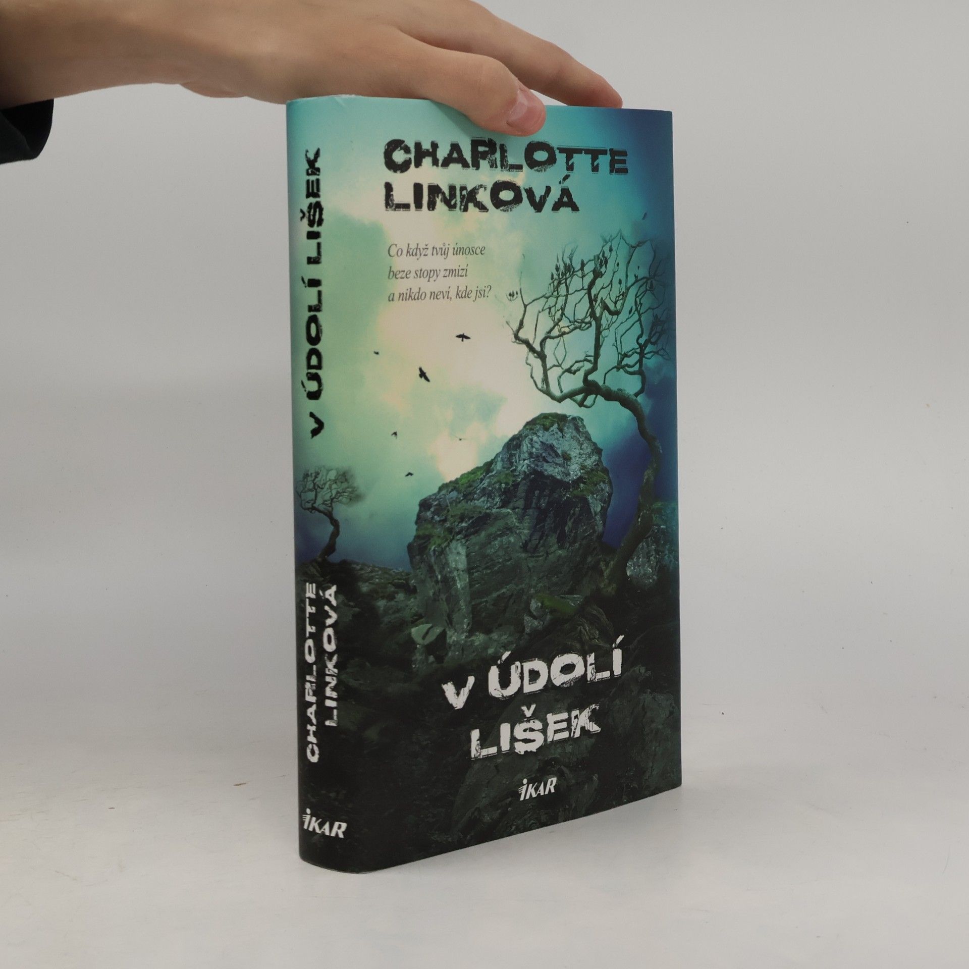 Charlotte Link V údolí lišek