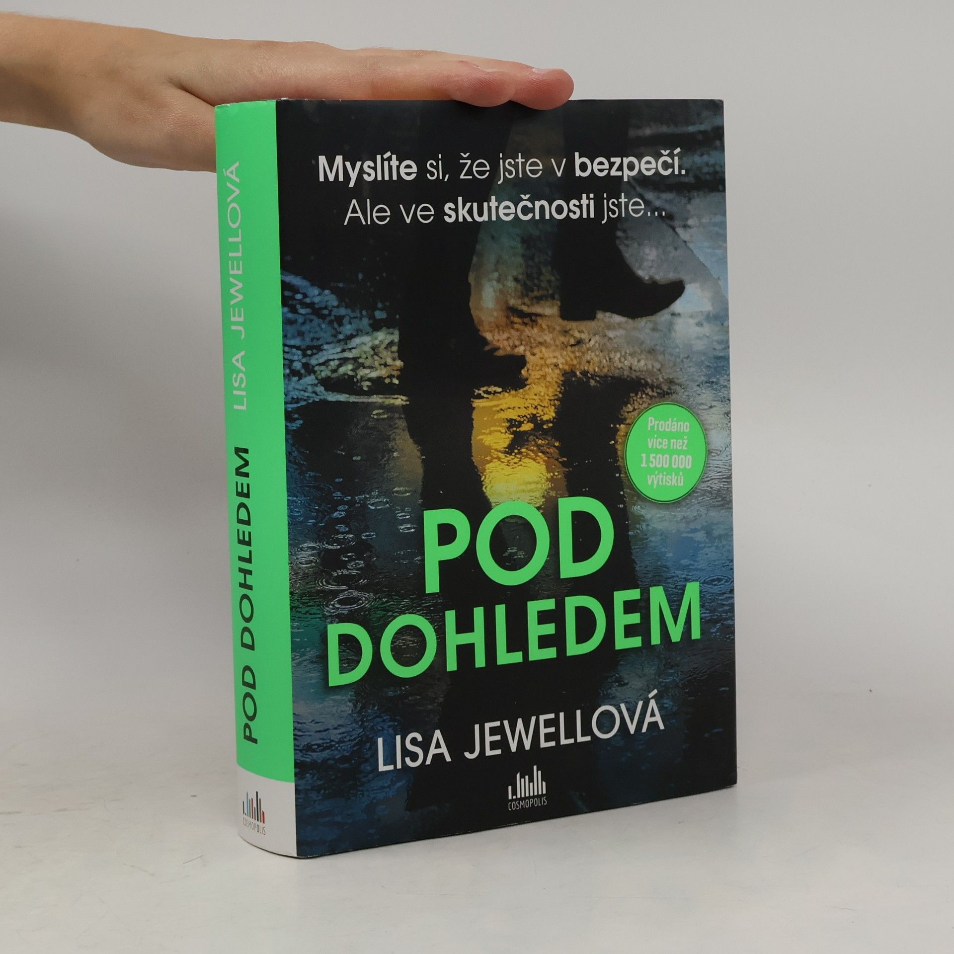 Lisa Jewell Pod dohledem
