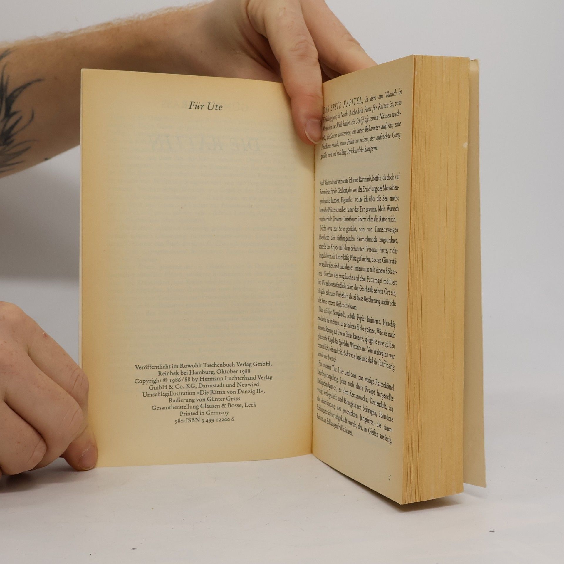 Günter Grass Die Rättin