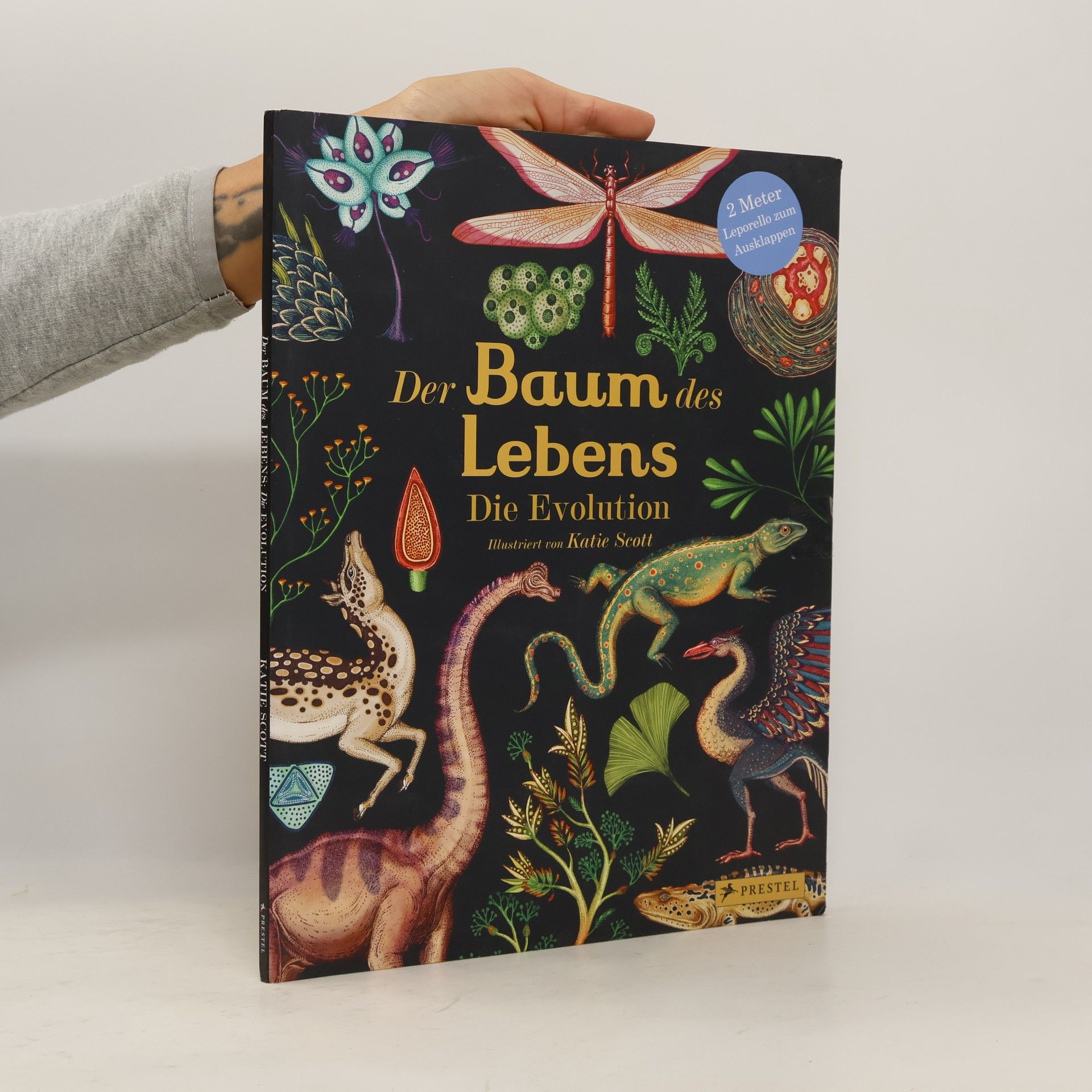 Katie Scott Der Baum des Lebens