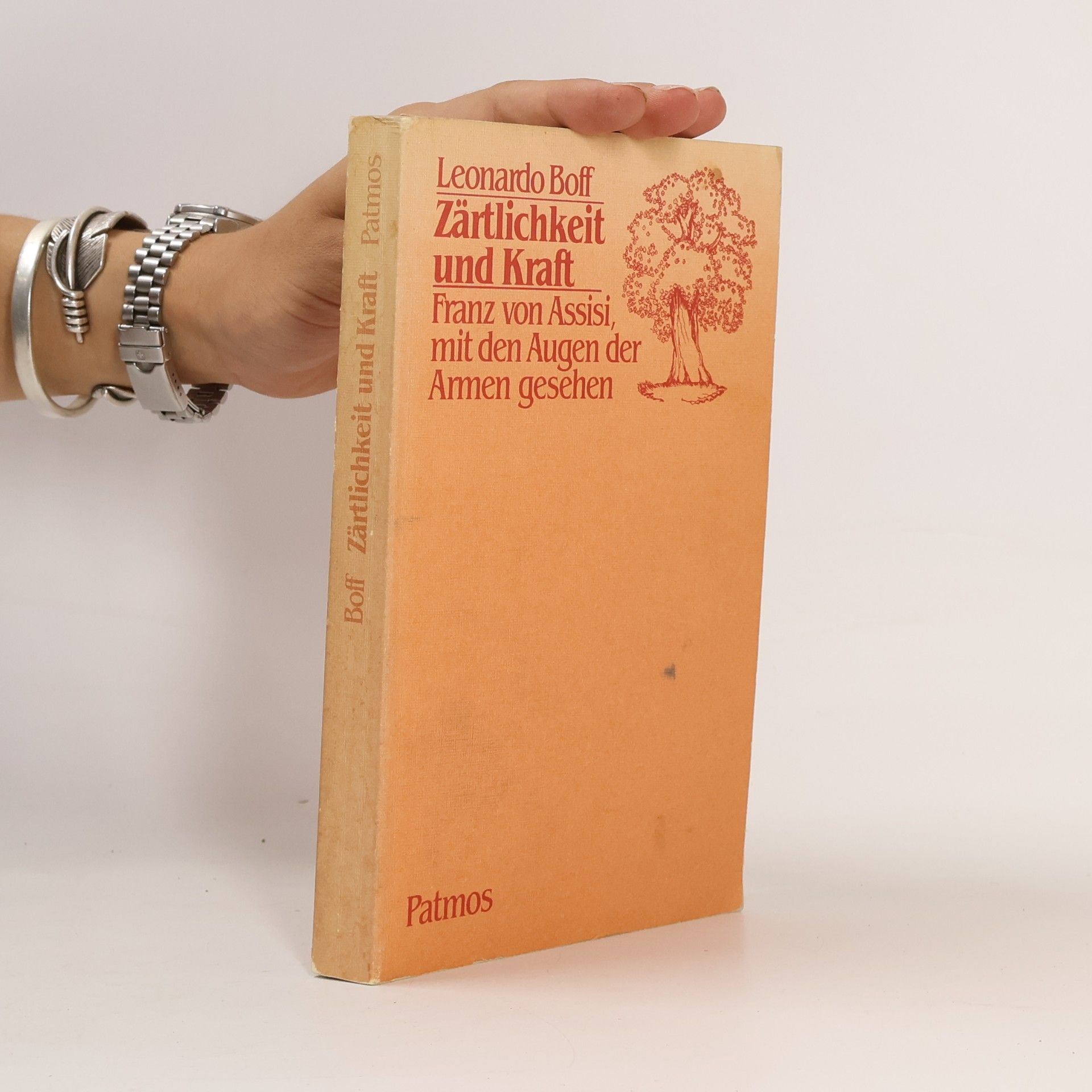 Leonardo Boff Zärtlichkeit und Kraft