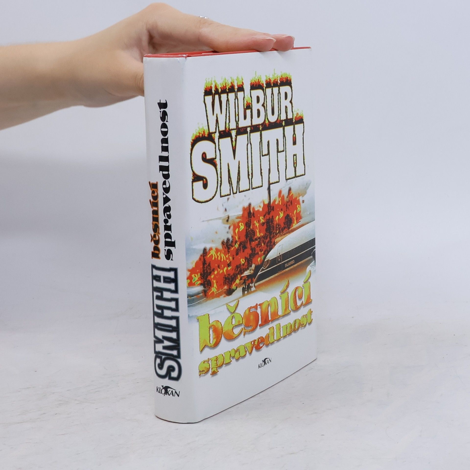 Wilbur A. Smith Běsnící spravedlnost