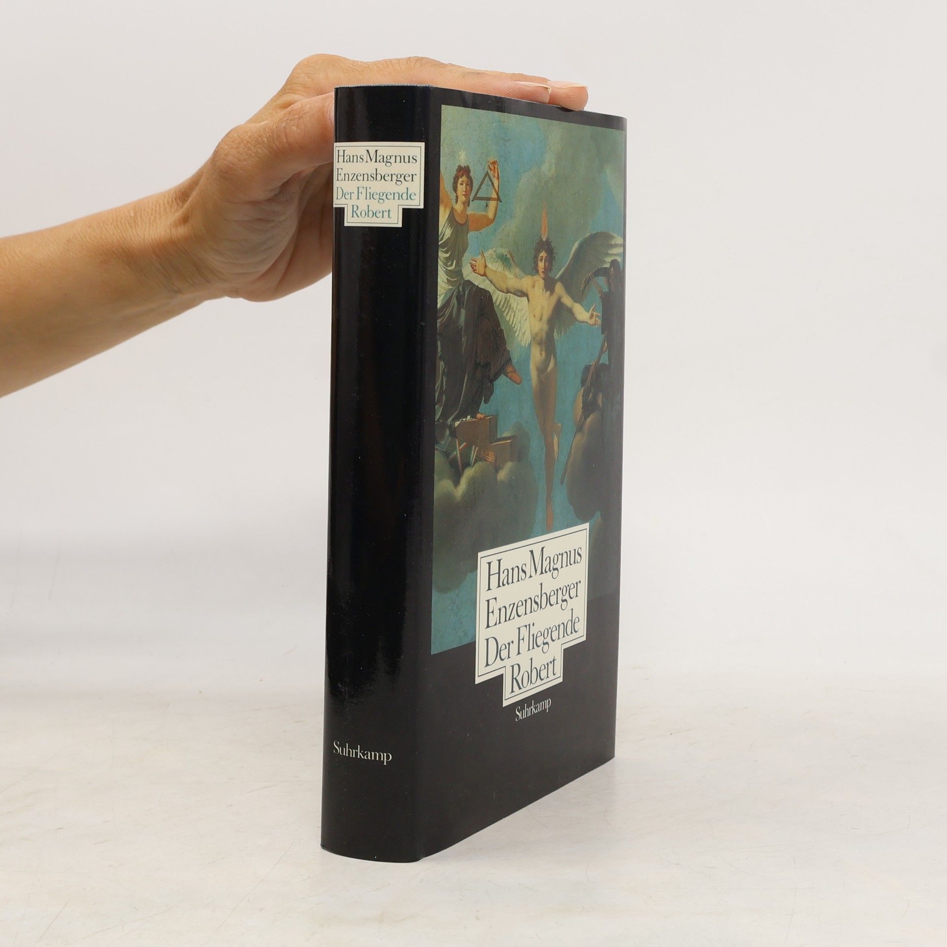 Hans Magnus Enzensberger Der Fliegende Robert