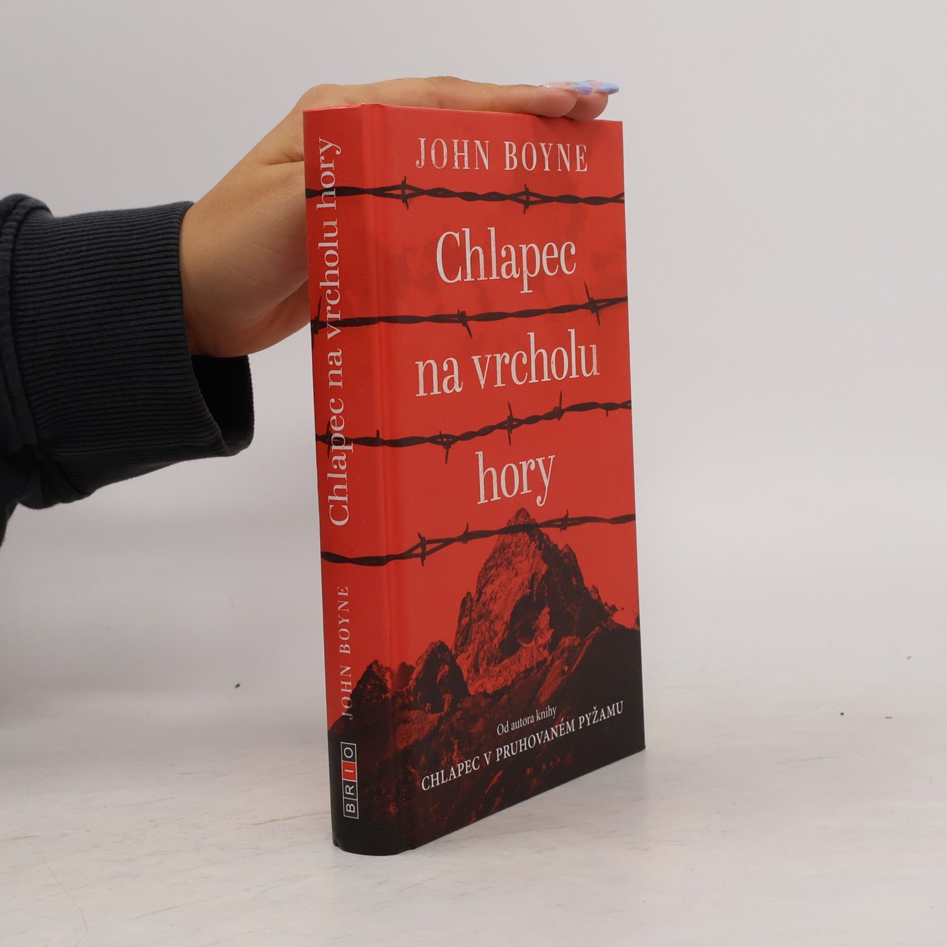 John Boyne Chlapec na vrcholu hory