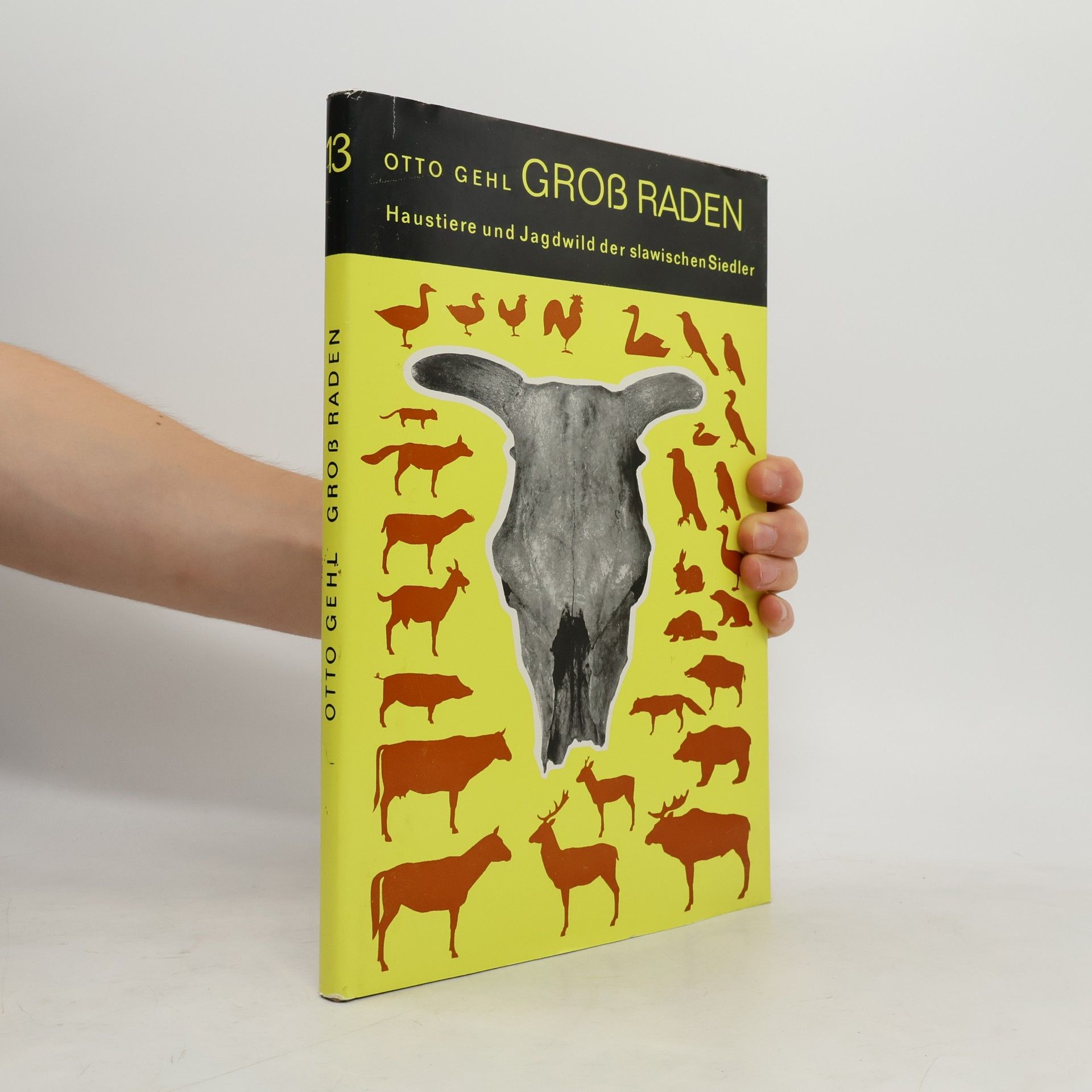 Groß Raden: Haustiere und Jagdwild der slawischen Siedler