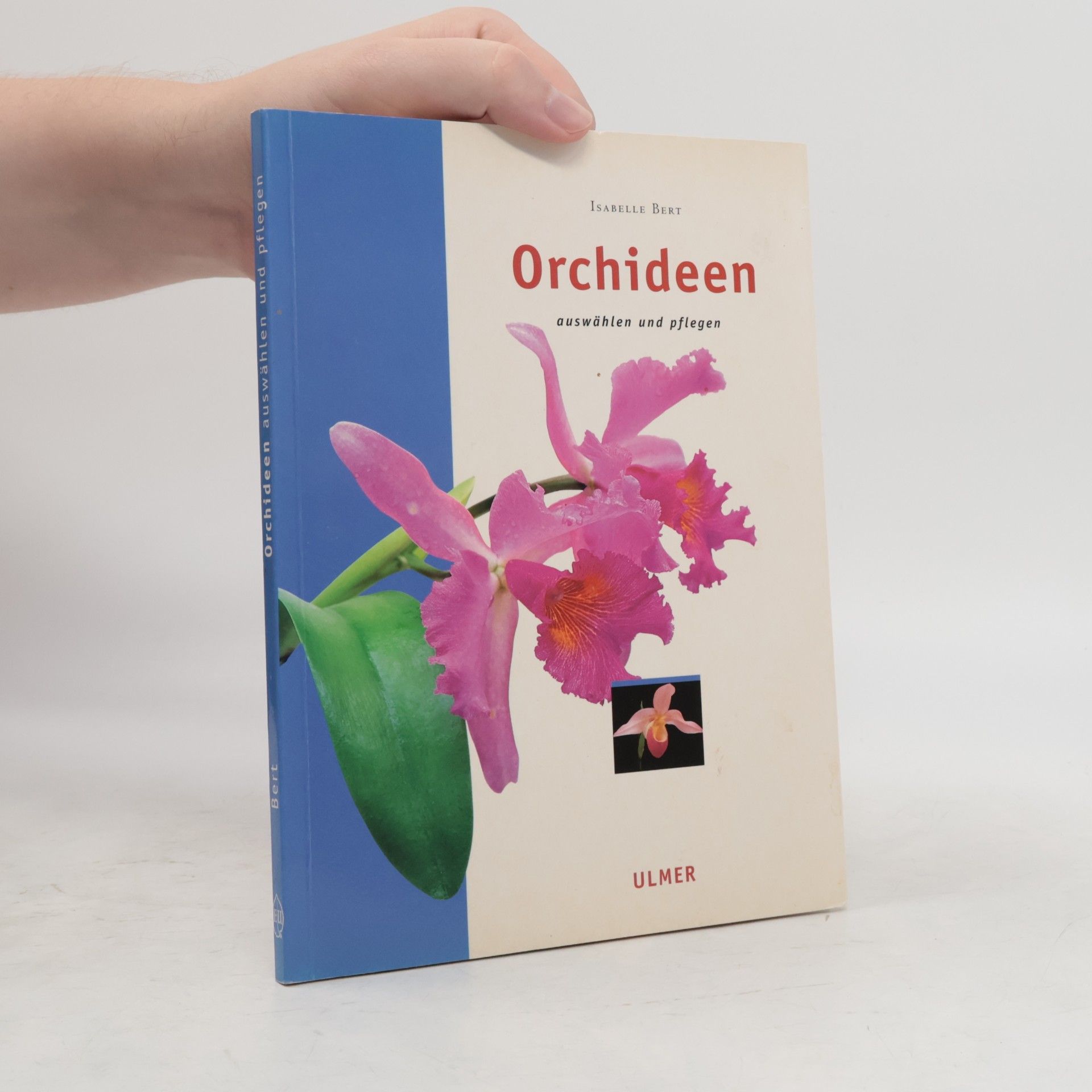 Isabelle Bert Orchideen